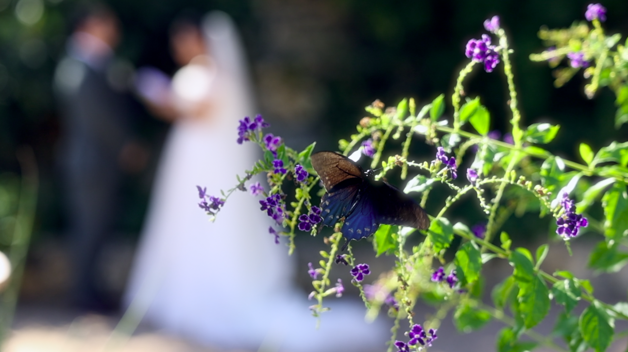 Screenshot 2026-03-11 at 9.18.08 PM.png