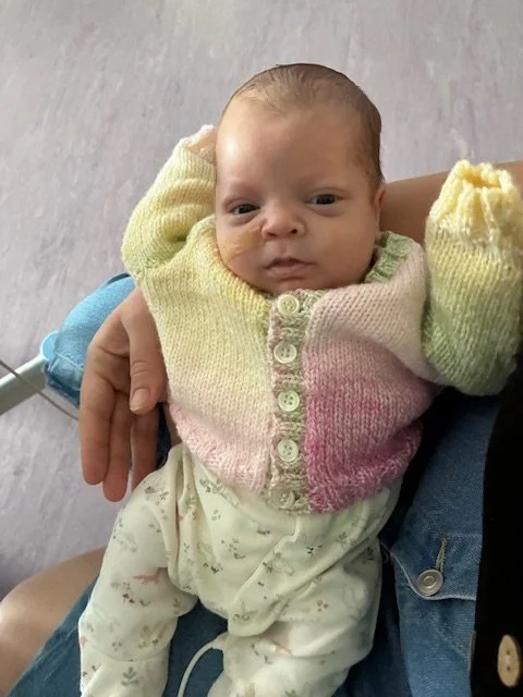 image12.jpeg