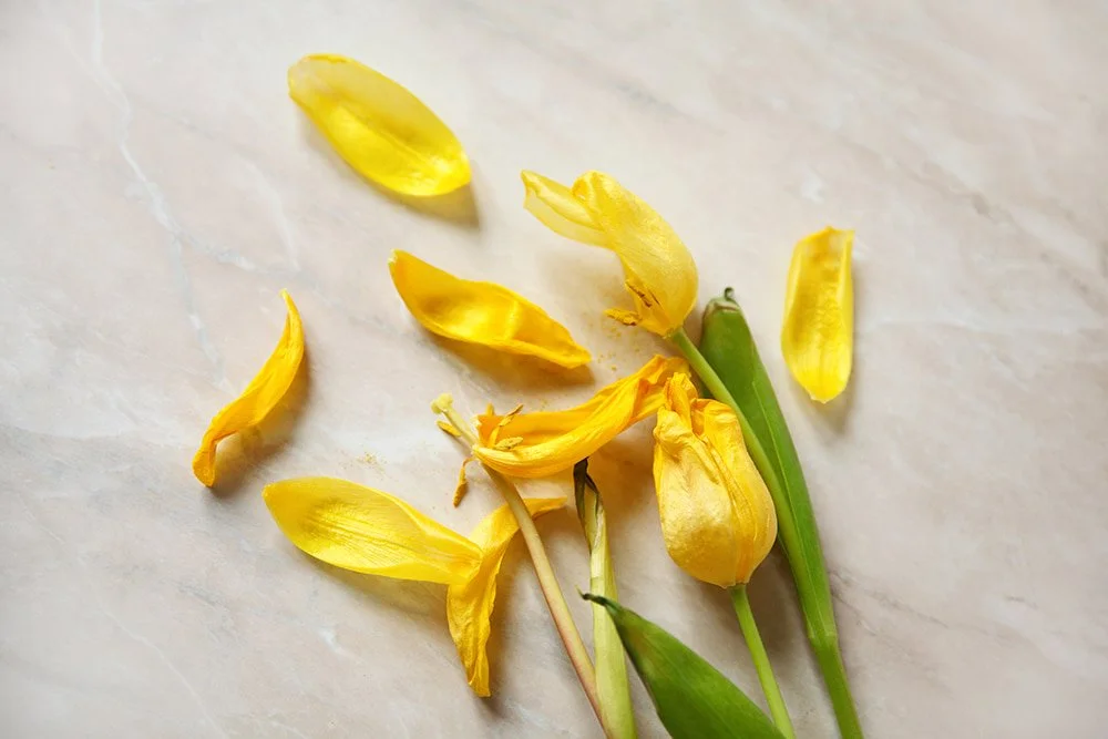 Omens Everywhere: The Day I Thought Wilted Tulips Meant I'd Never Have a Baby