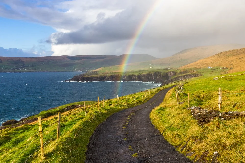No Easy Road: My Winding Path of Infertility