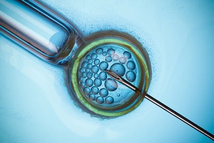 The IVF Process – What to Expect (Part 1)