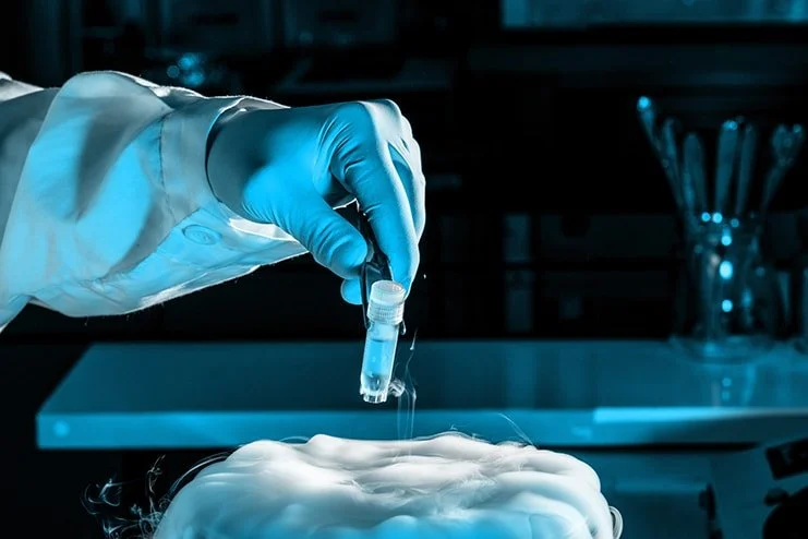 Egg Freezing: A Step by Step Timeline