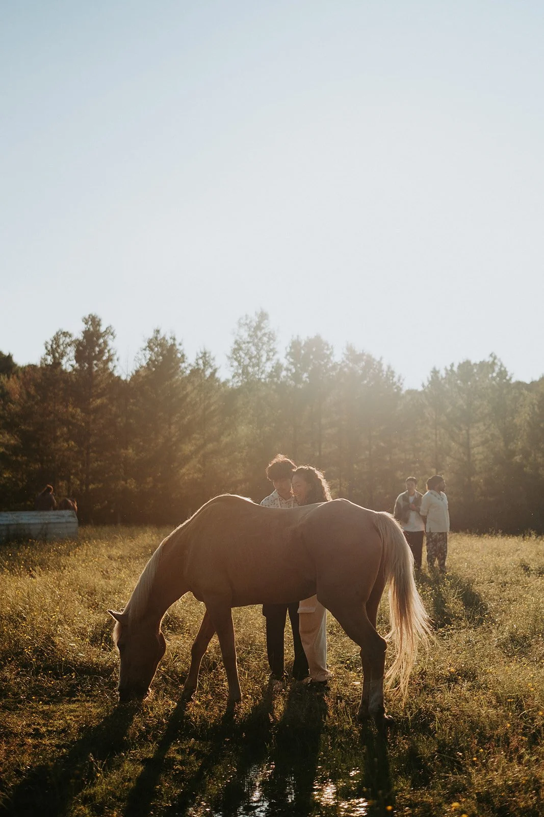 Cérémonie cacao et Soin sonore chevaux-37_websize.jpg