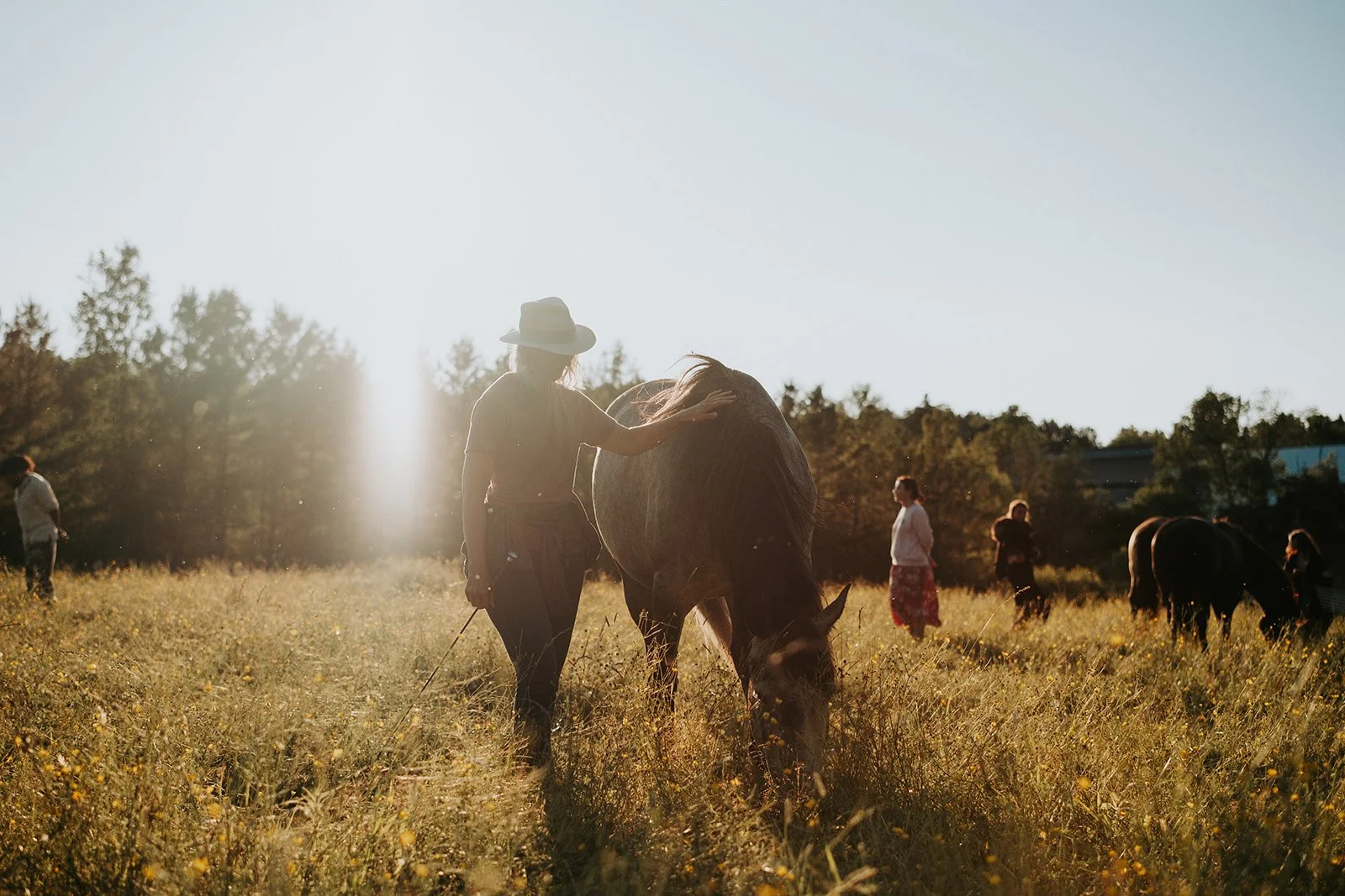 Cérémonie cacao et Soin sonore chevaux-39_websize.jpg
