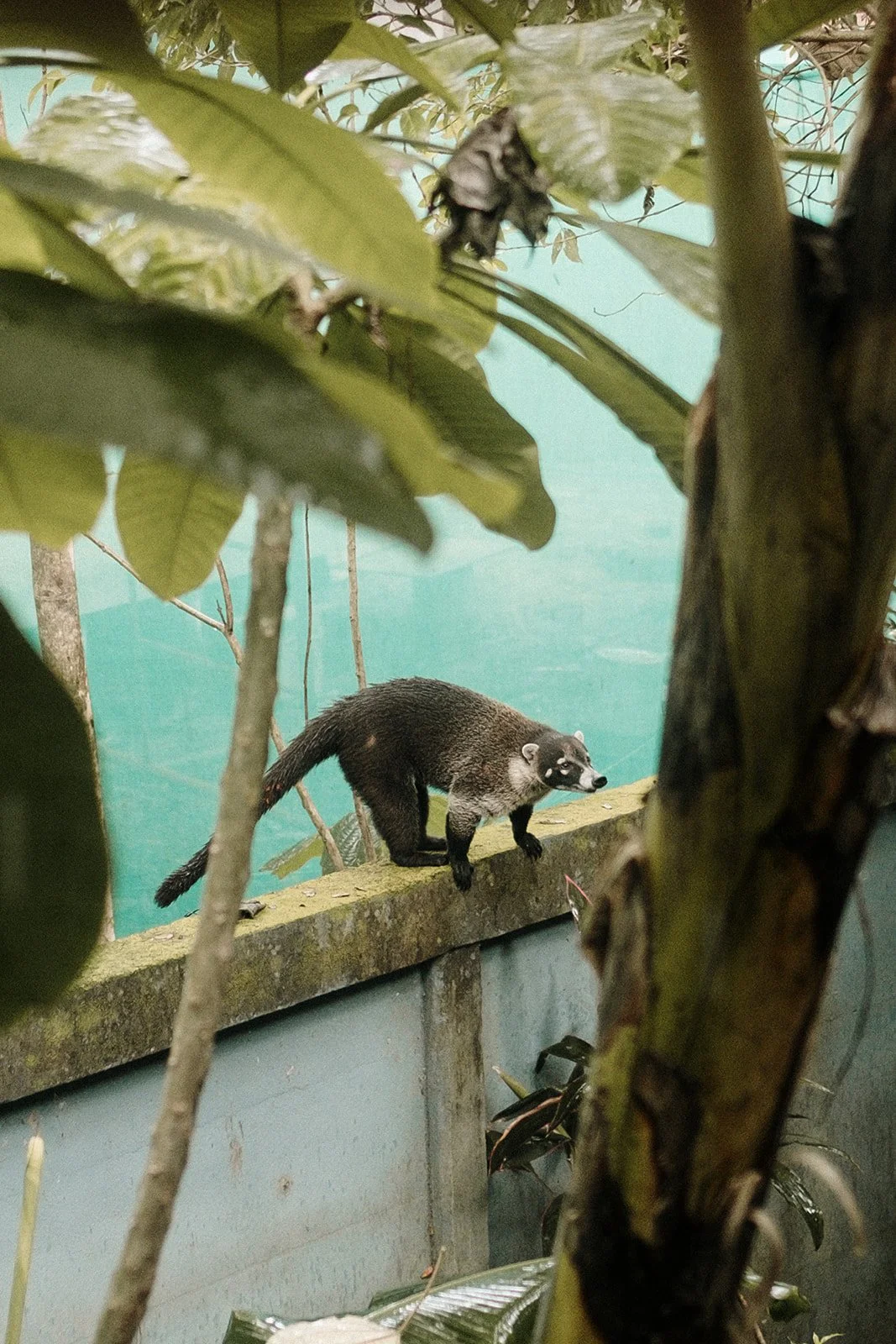 Retraite Awaken_VF-12_websize.jpg