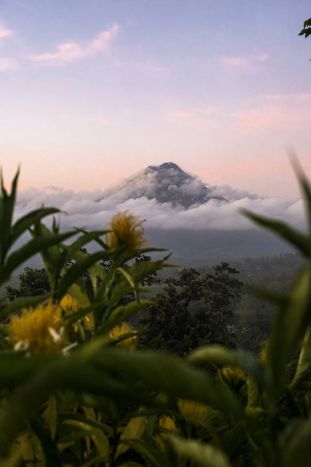 Arenal Volcano_2_websize.jpg