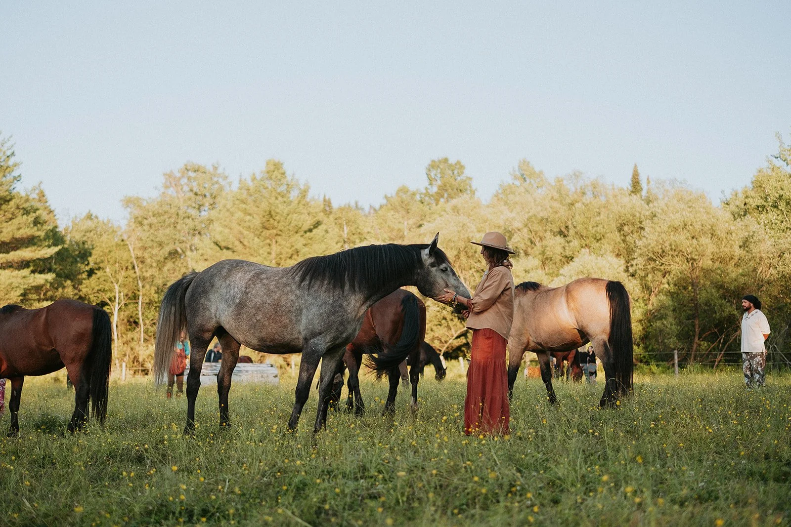 Cérémonie cacao et Soin sonore chevaux-85_websize.jpg