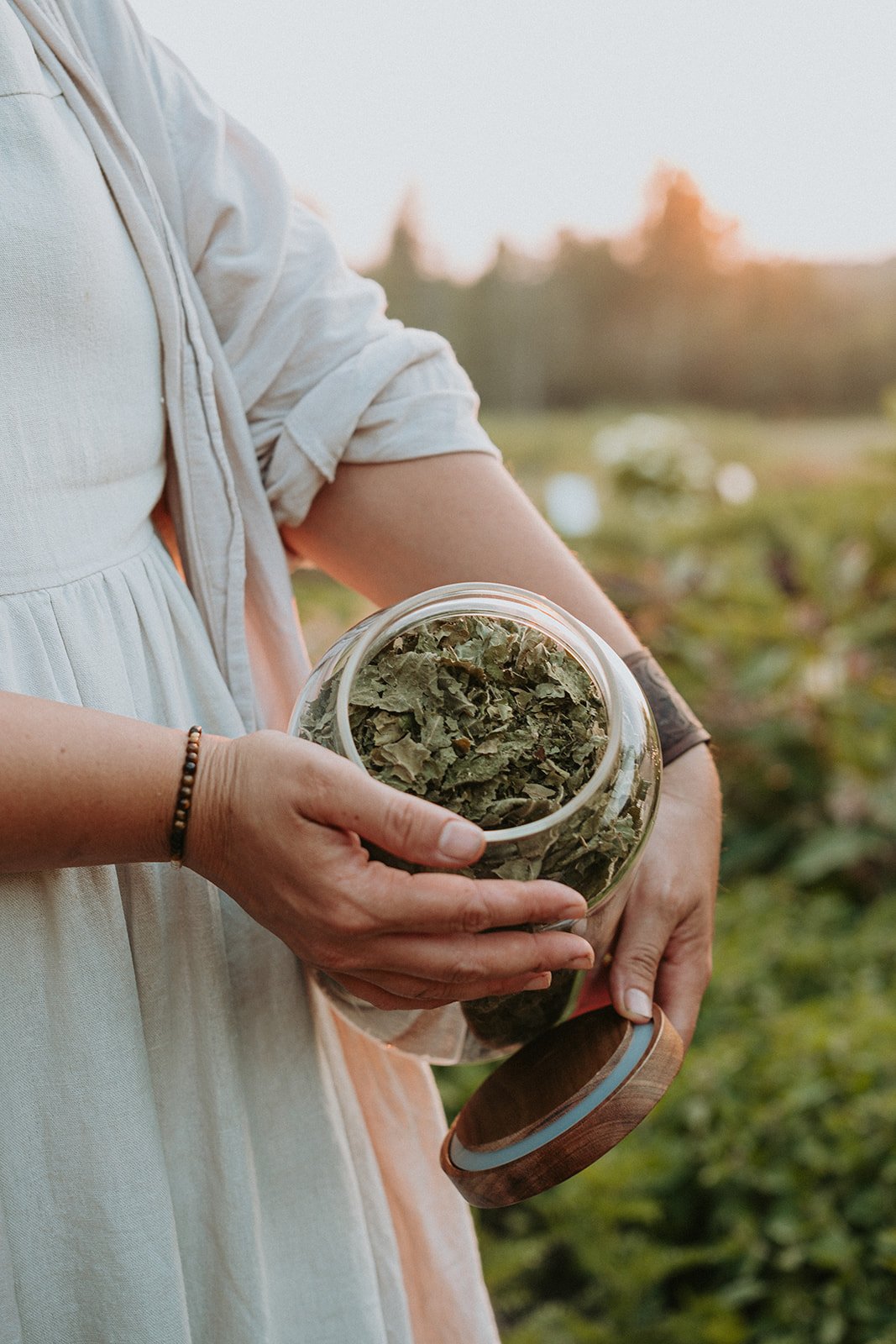 Tisanes en vrac-22.jpg