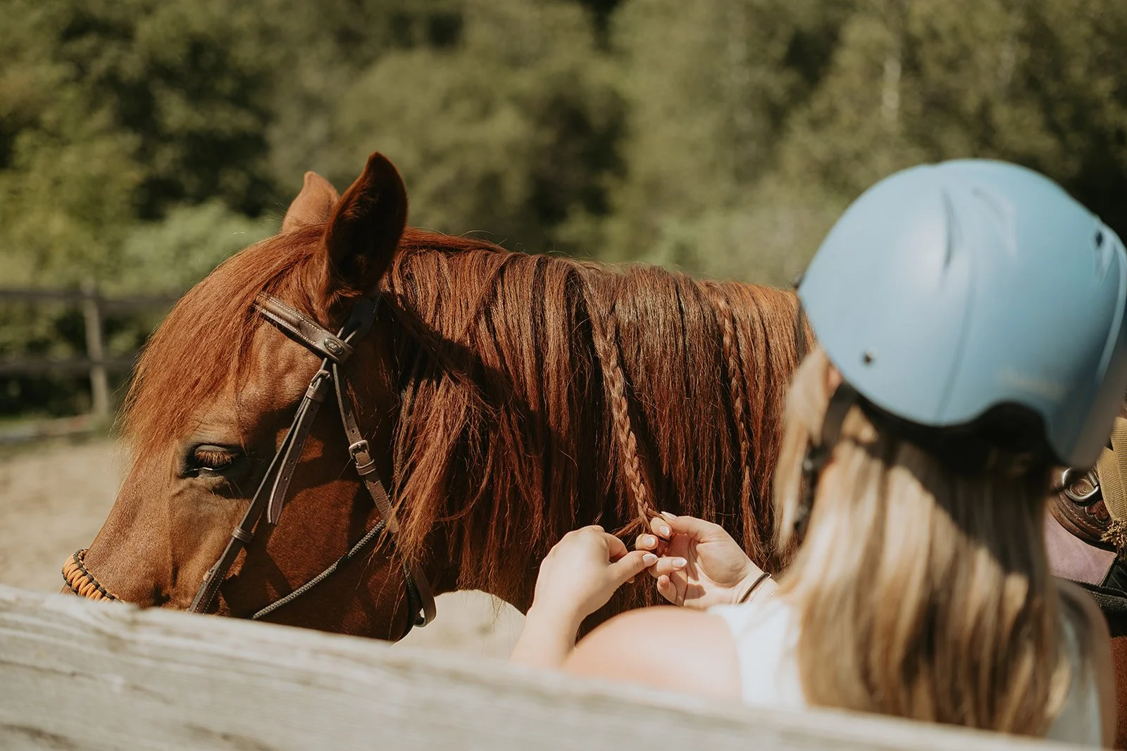 Camping Ferme Pegasus_1er septembre-46_websize.jpg
