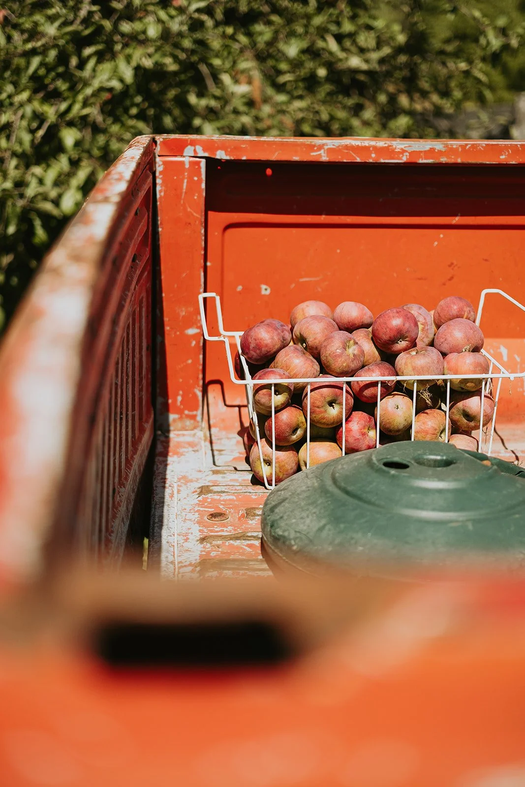 Camping Ferme Pegasus_1er septembre-13_websize.jpg