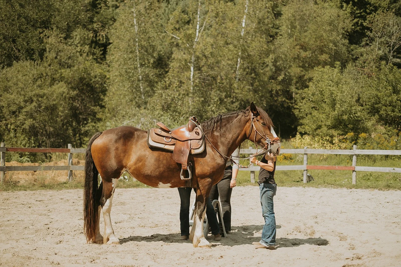 Camping Ferme Pegasus_1er septembre-37_websize.jpg
