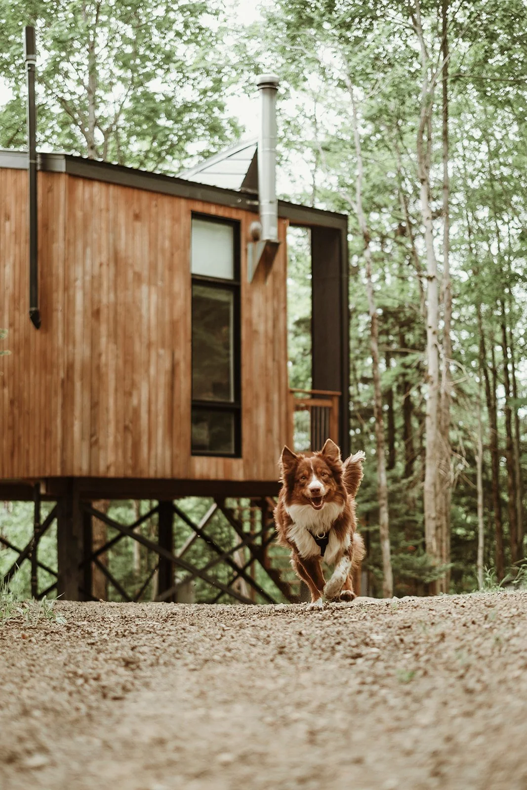 Lac Cabines_BLOK a du Piquant_stephanie-photographe-16_websize.jpg