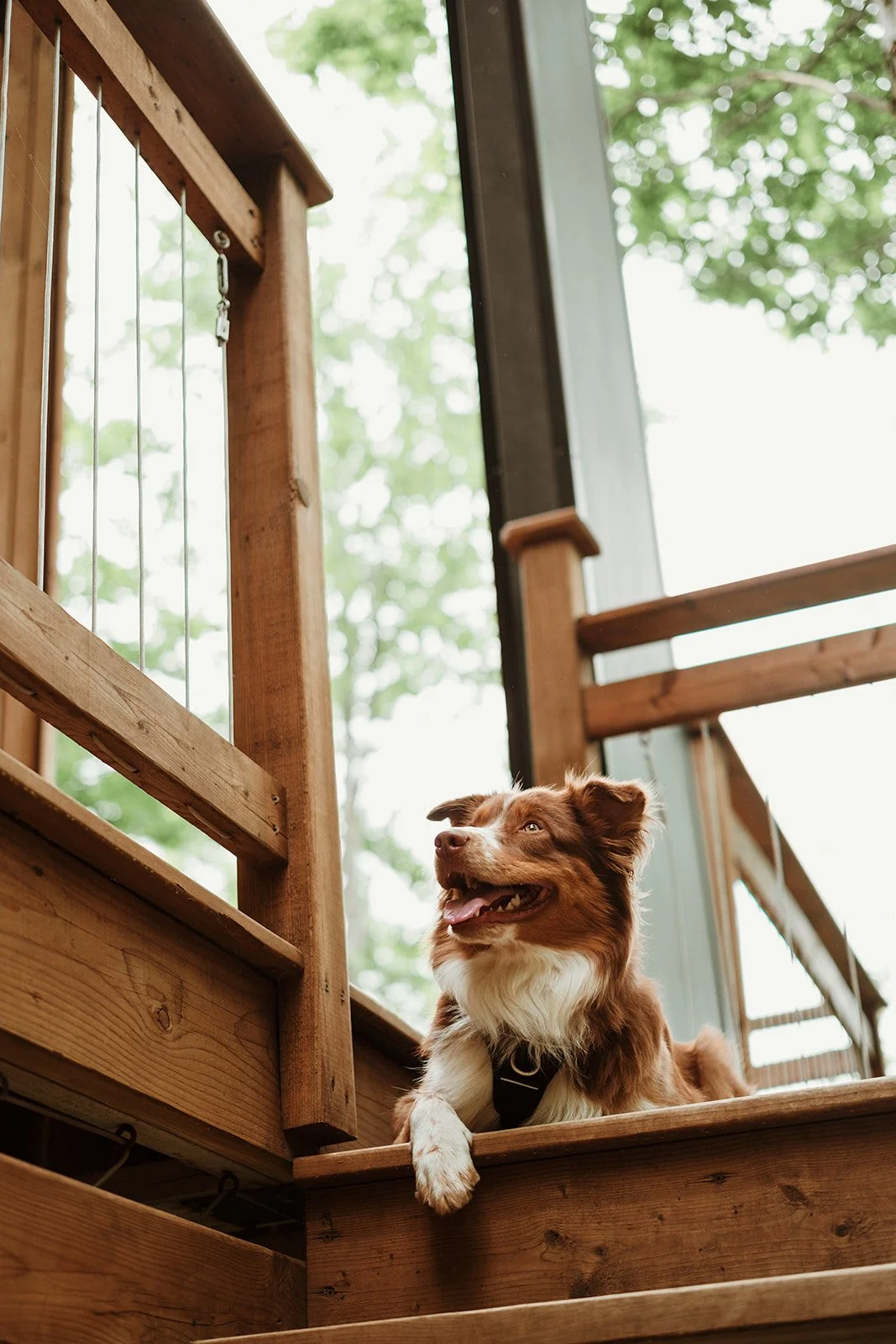 Lac Cabines_BLOK a du Piquant_stephanie-photographe-21_websize.jpg