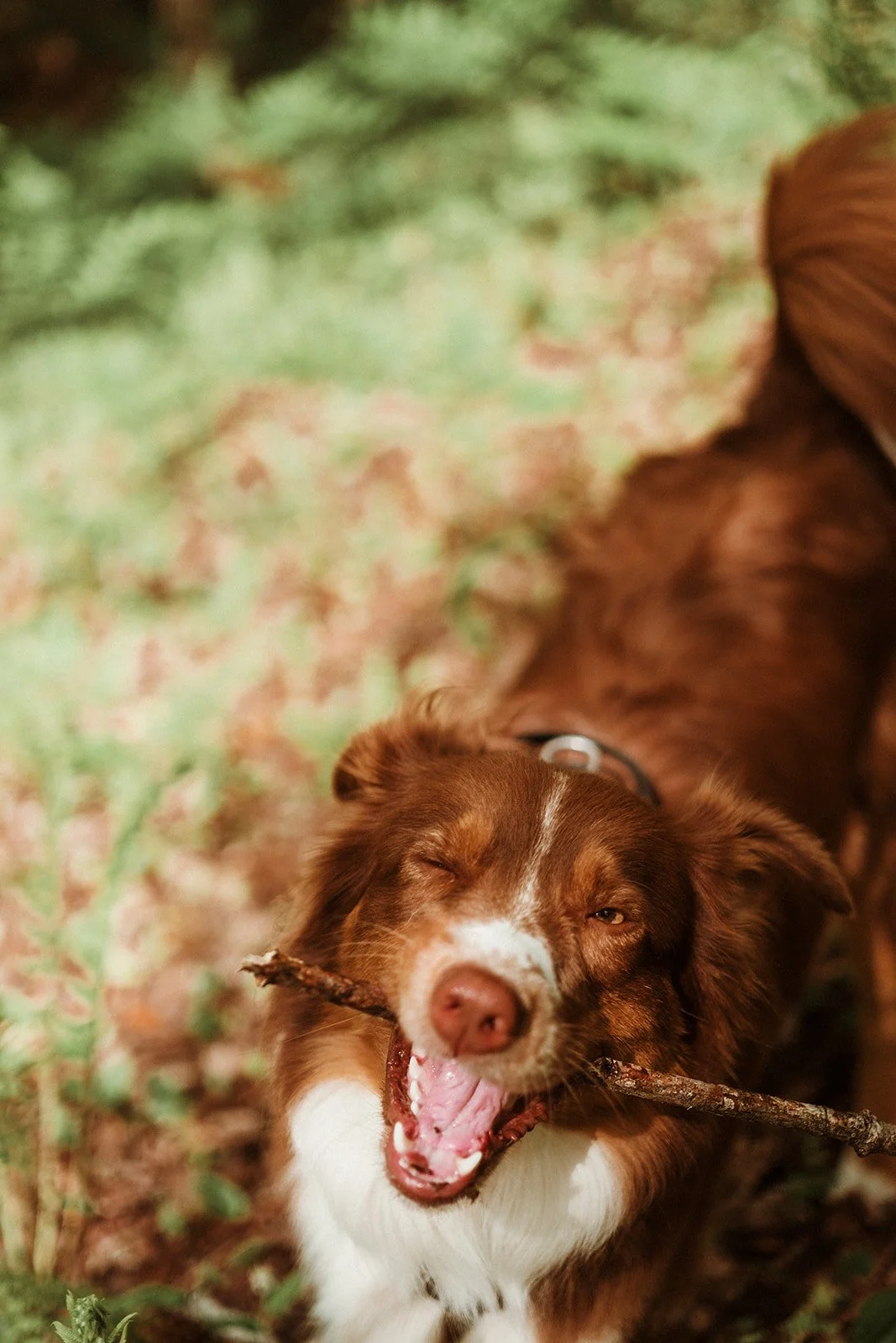 Lac Cabines_BLOK a du Piquant_stephanie-photographe-12_websize.jpg