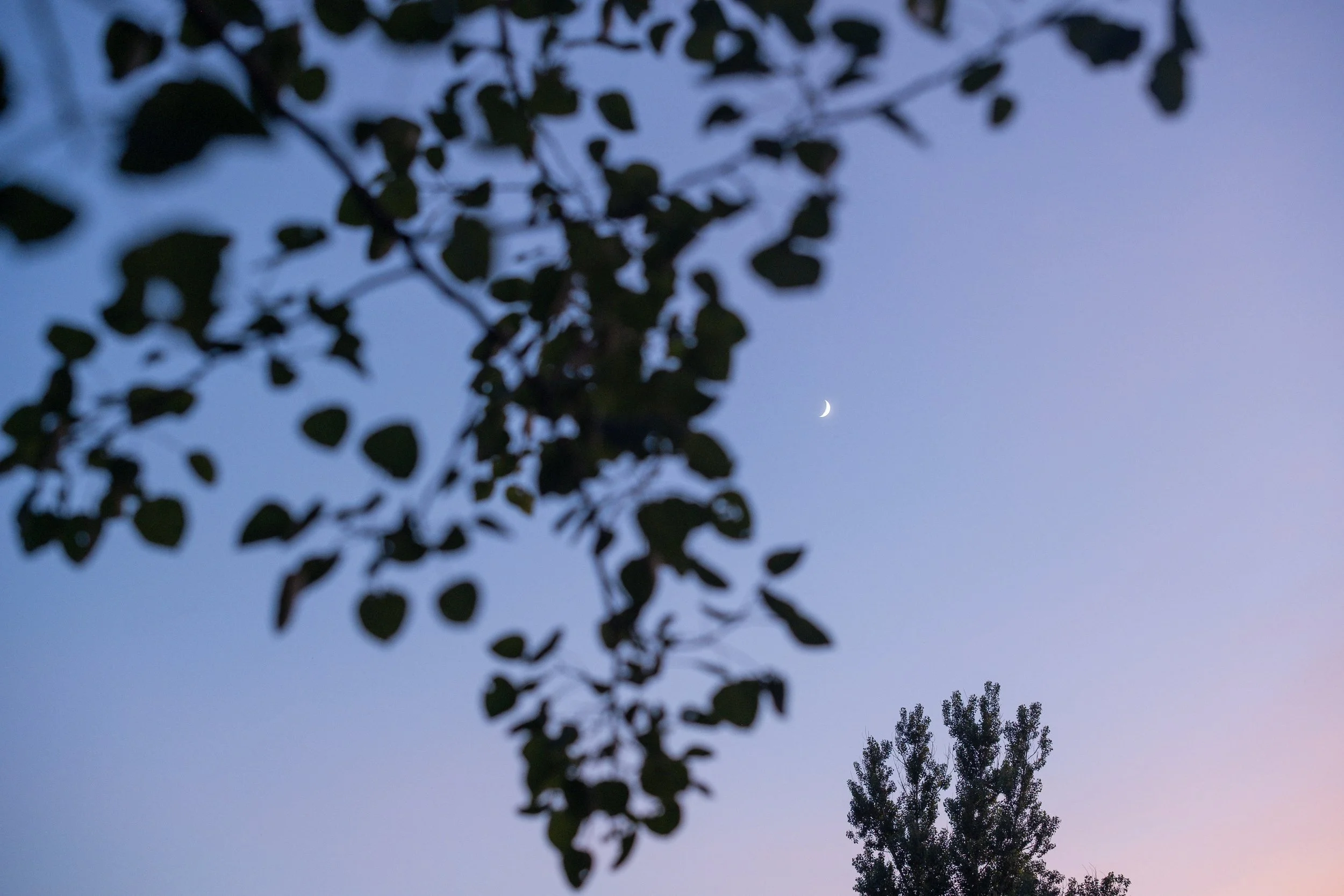 Camping Ferme Pegasus-153.jpg