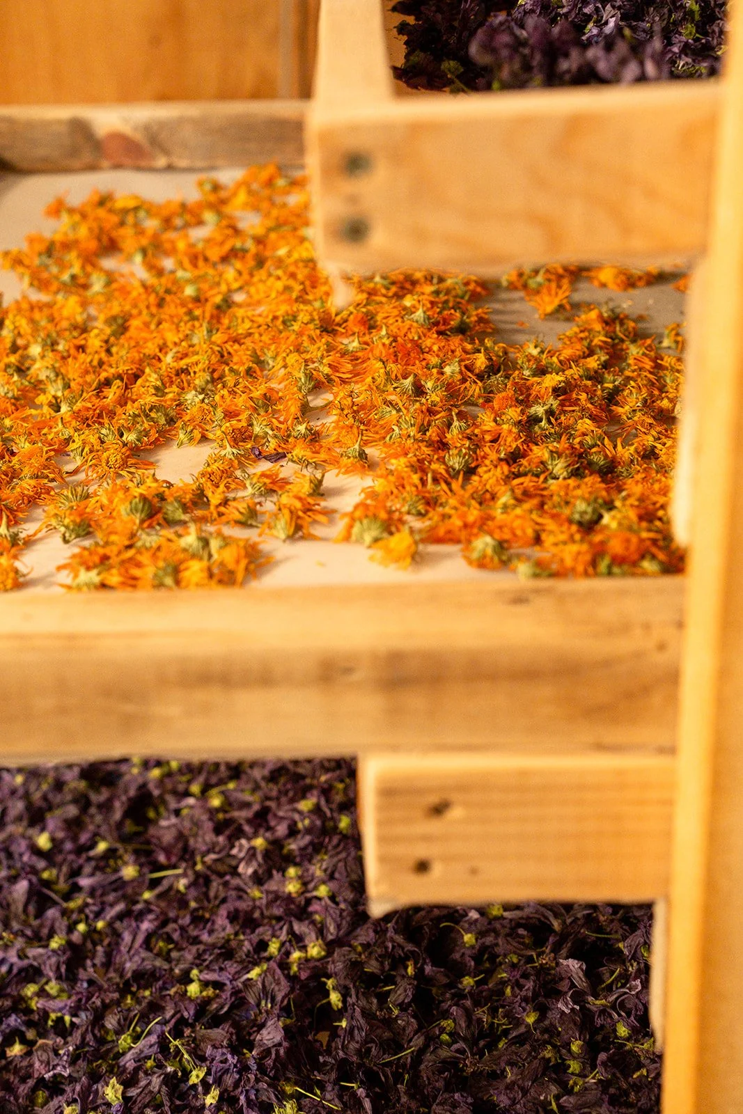 SC_Salle de séchage-15.jpg