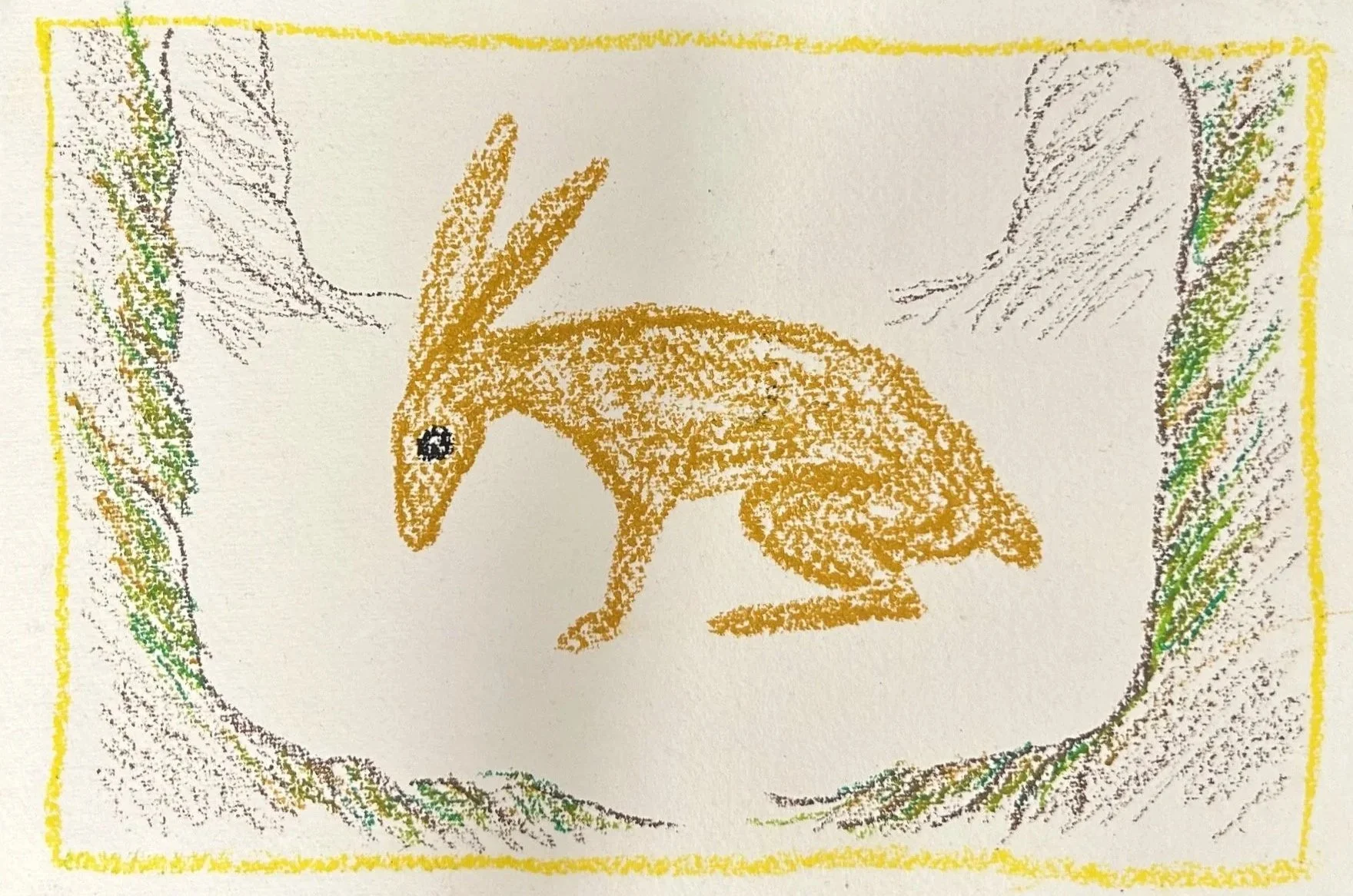 Hare | 2025 | Oil pastel on paper