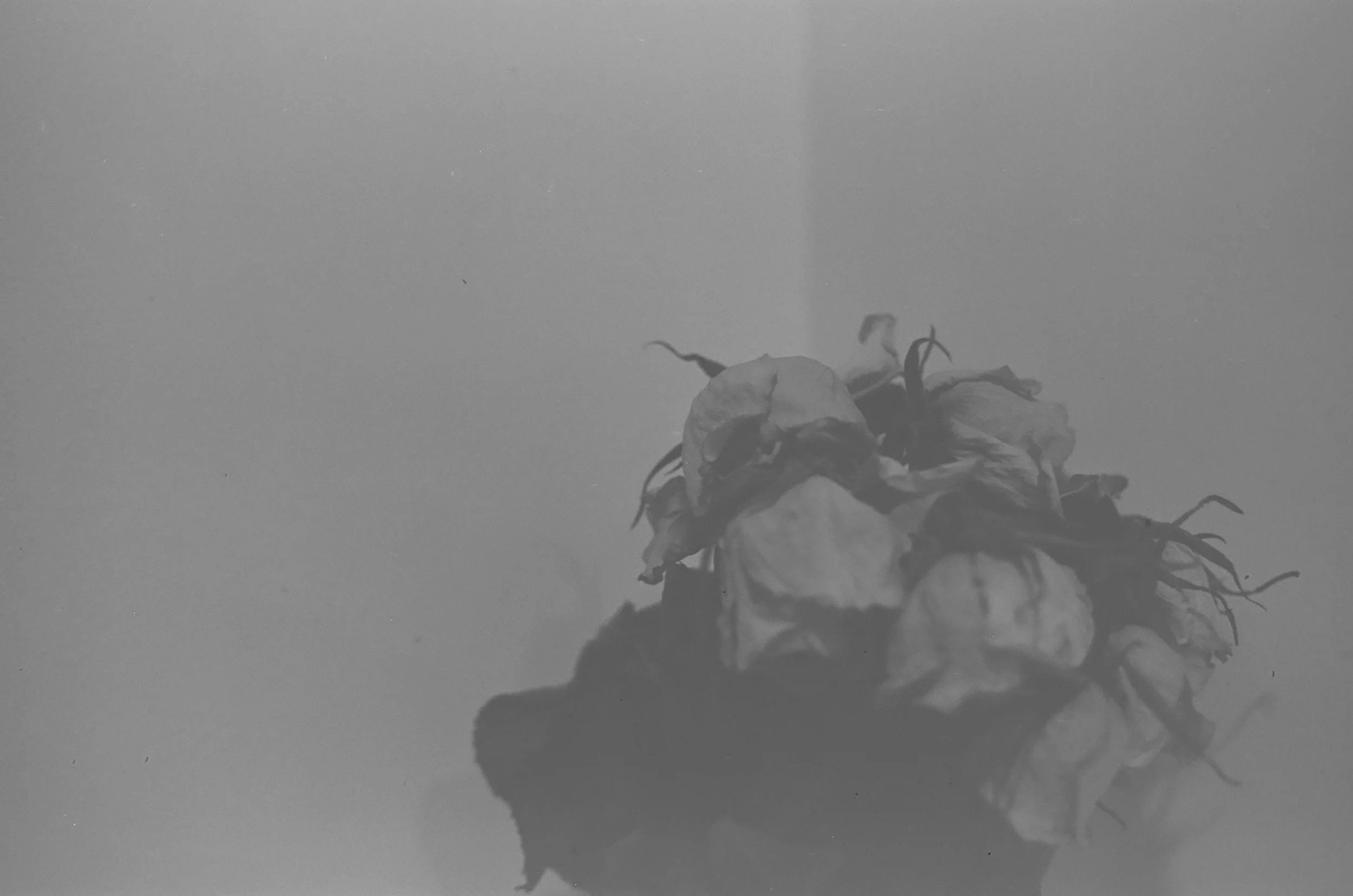 0023_###.jpg