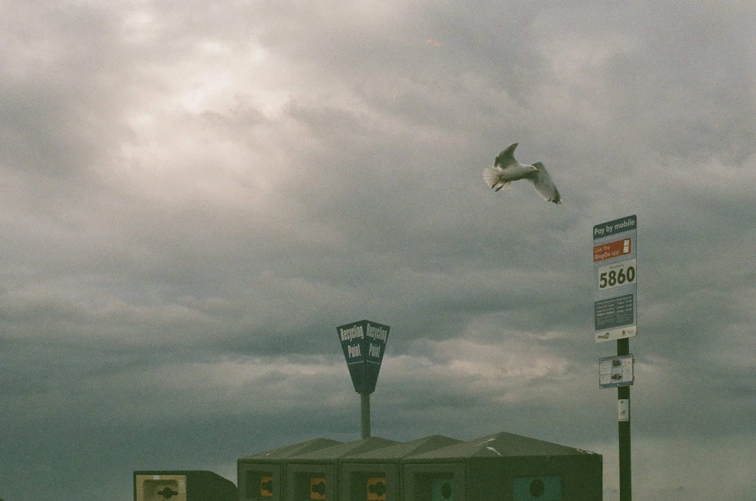 0034_3.jpg