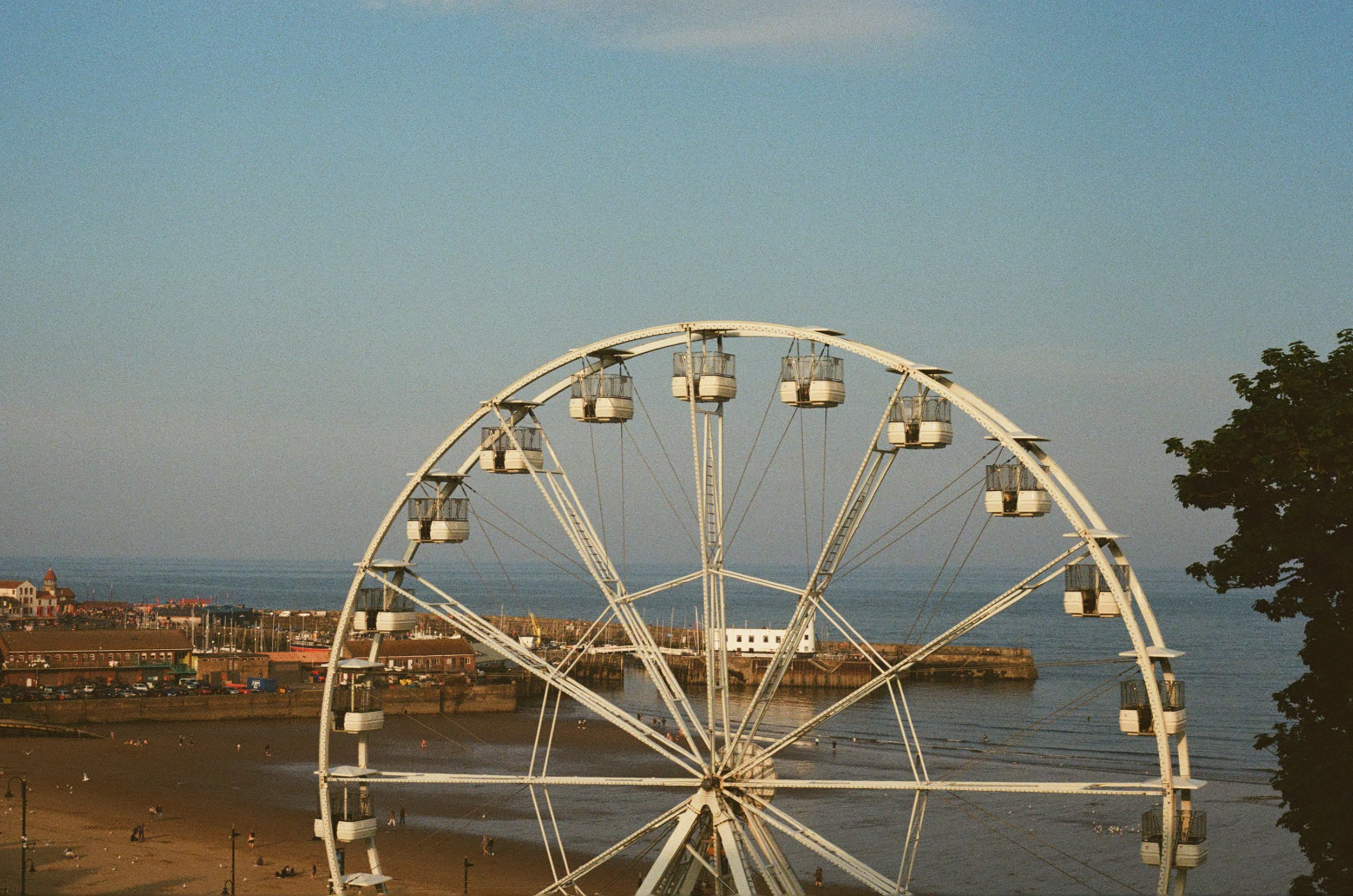 0010_15.jpg