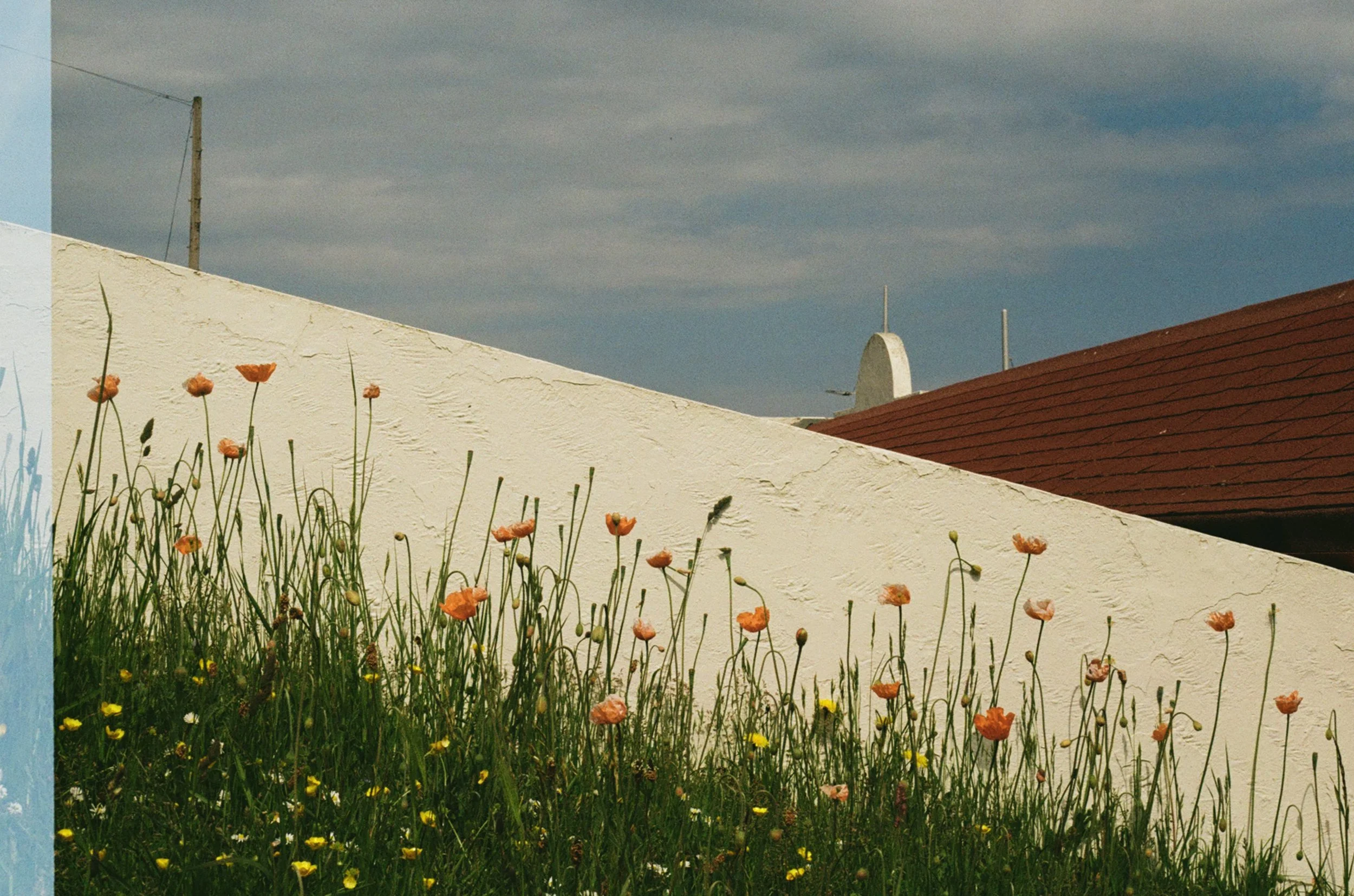 0003_32.jpg