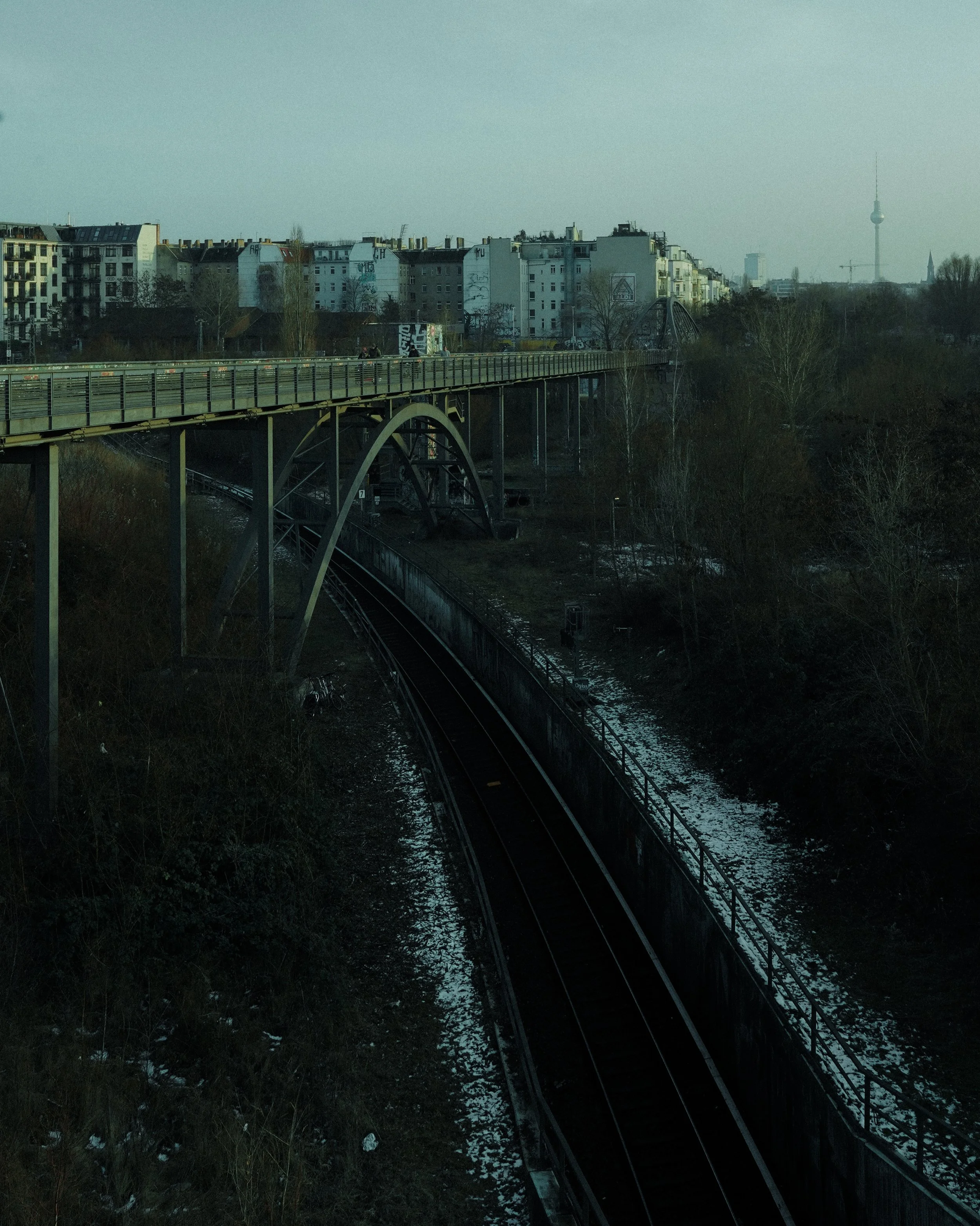DSC08622.jpg