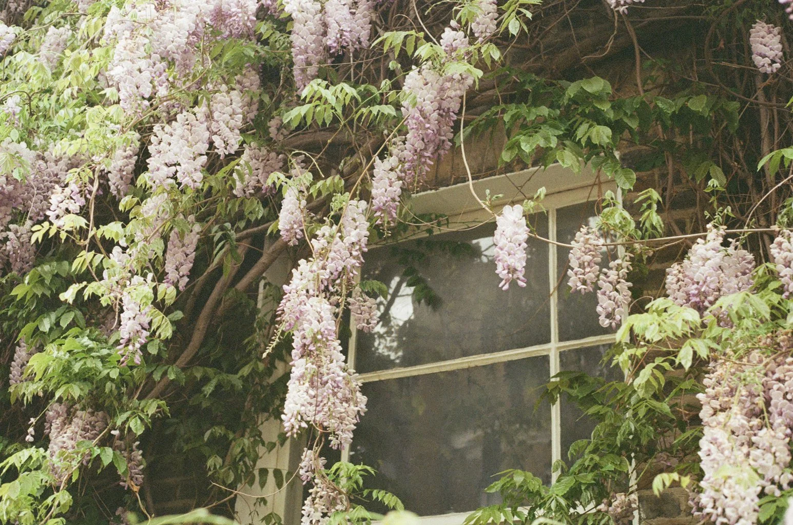 0025_12A.jpg