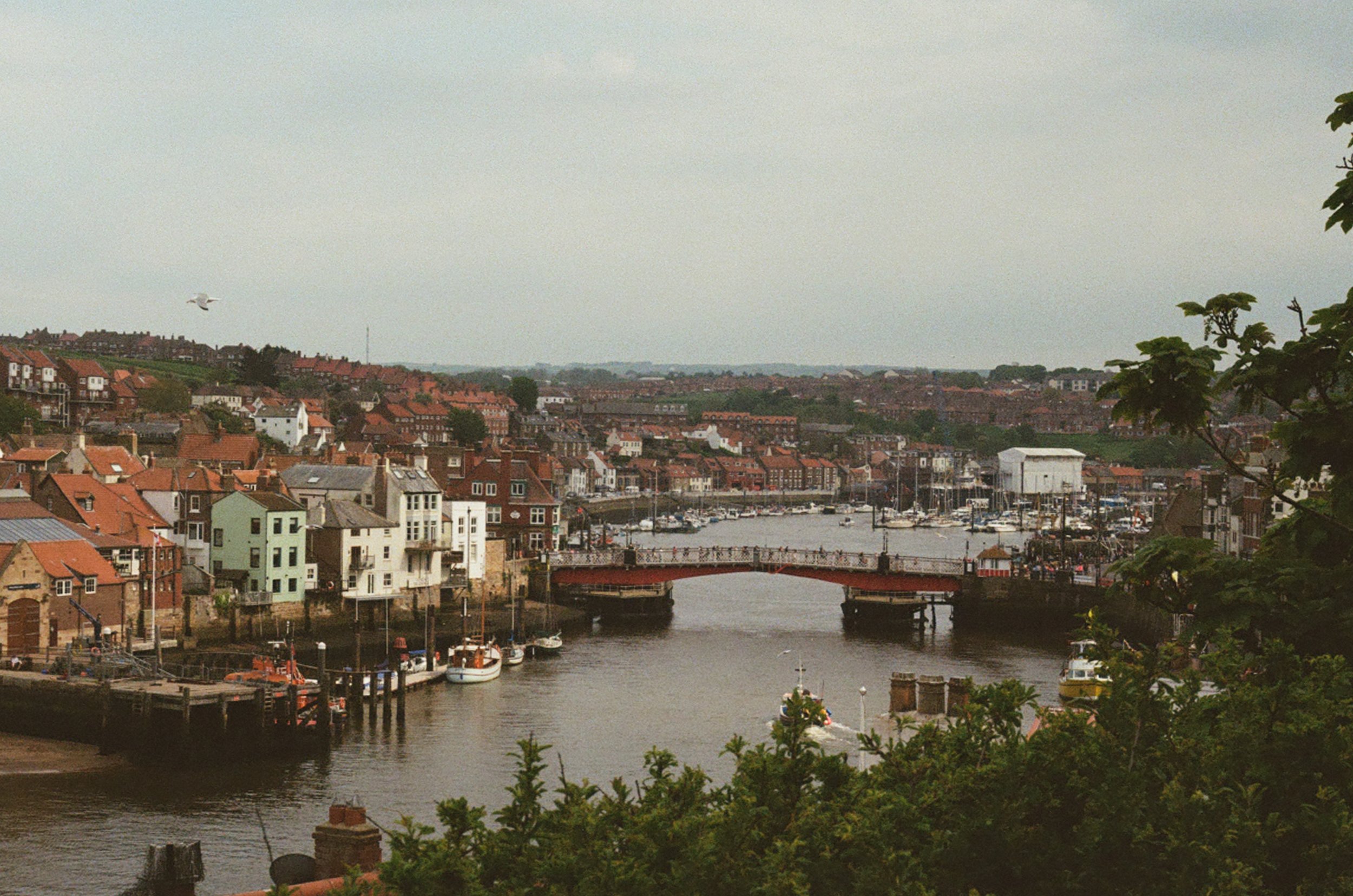 0019_6.jpg