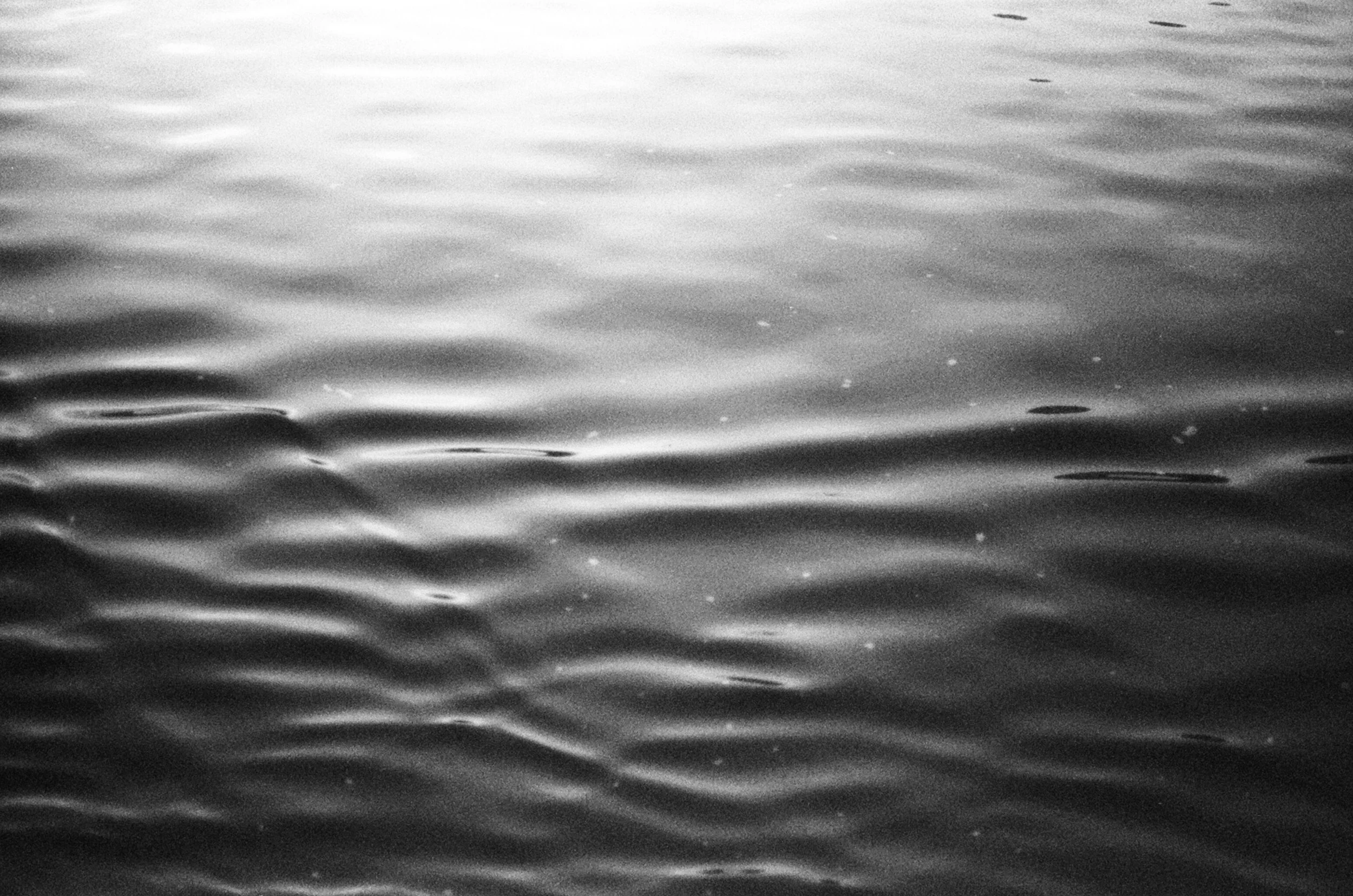 61860018.jpg