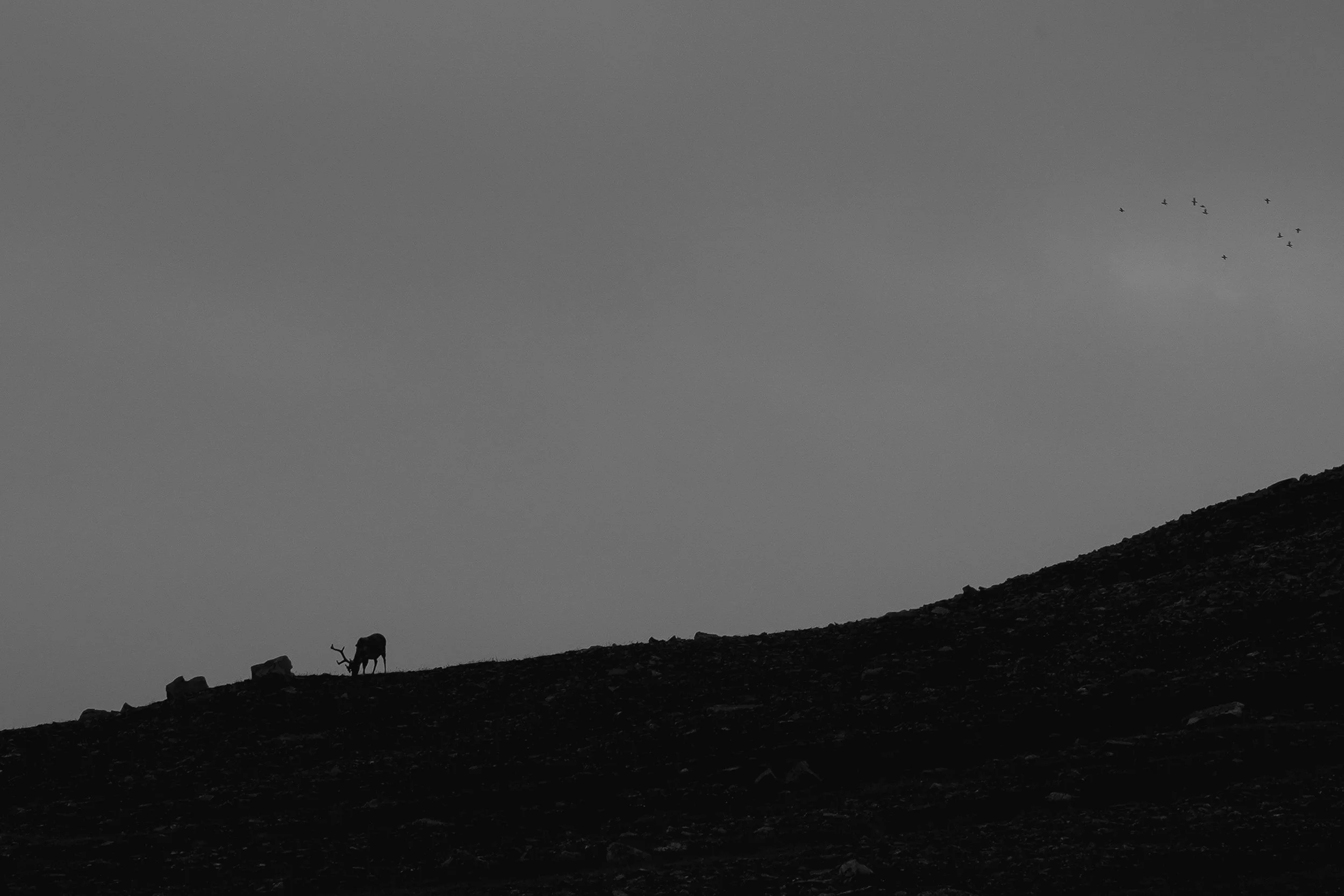 DSC02141.jpg
