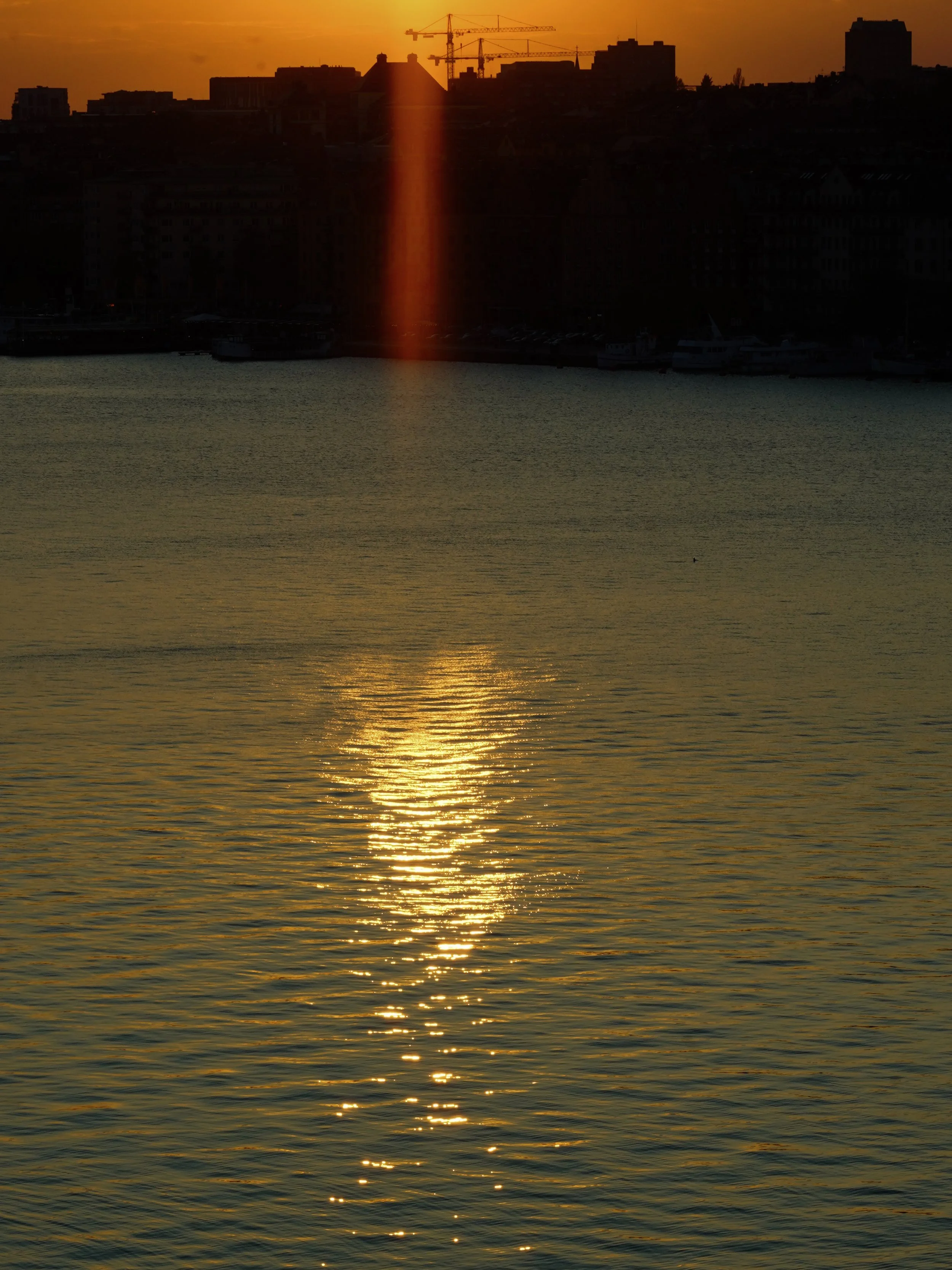 DSC00785.jpg