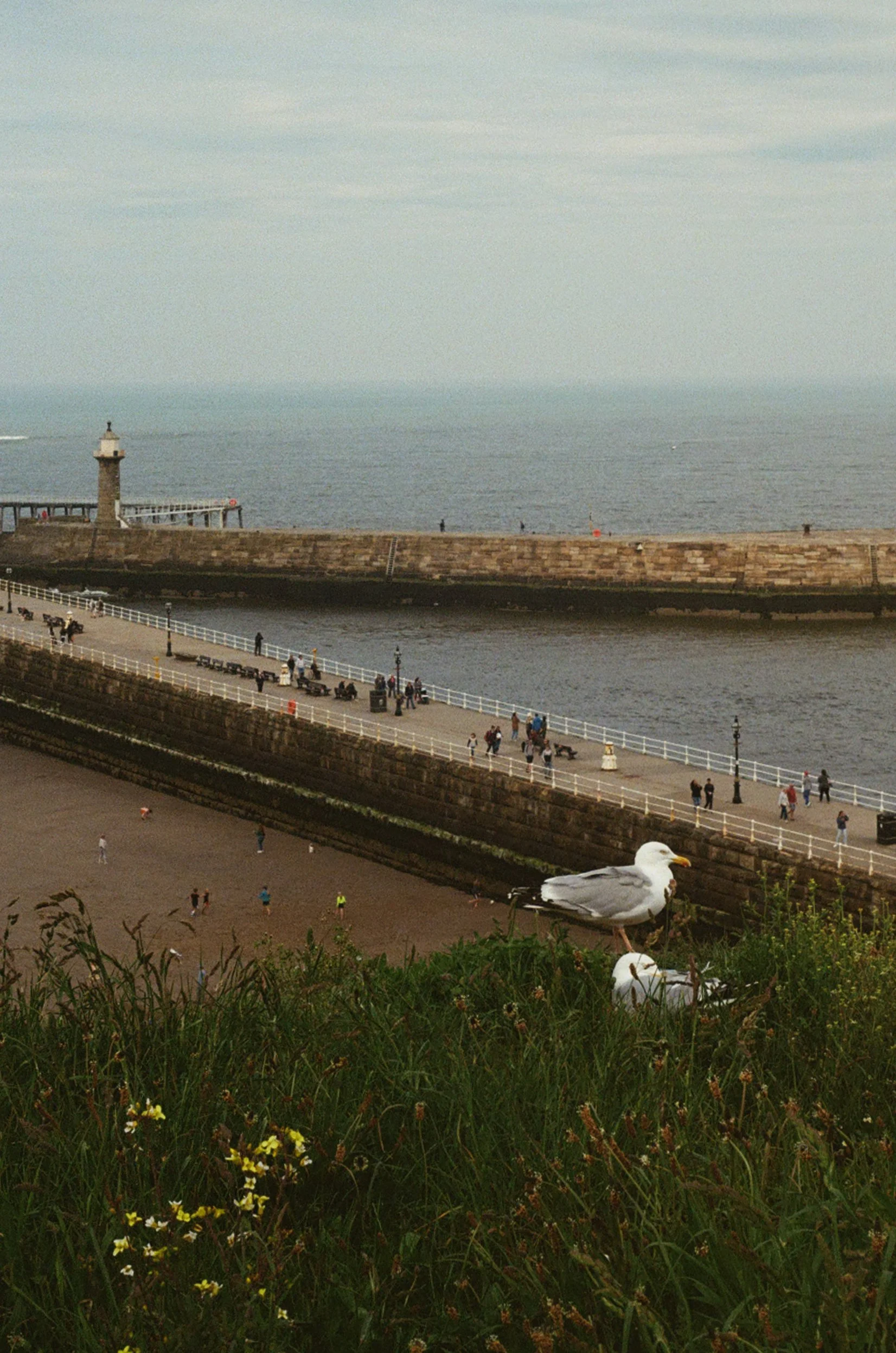 0022_3.jpg