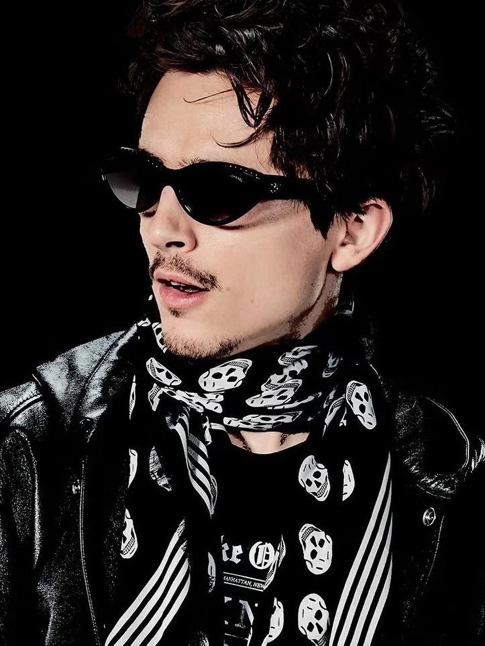 Timothée Chalamet in Alexander McQueen skull print scarf