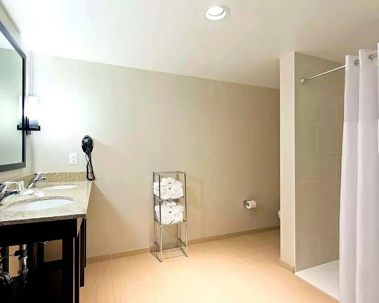 King Mastersuite Bathroom.jpg