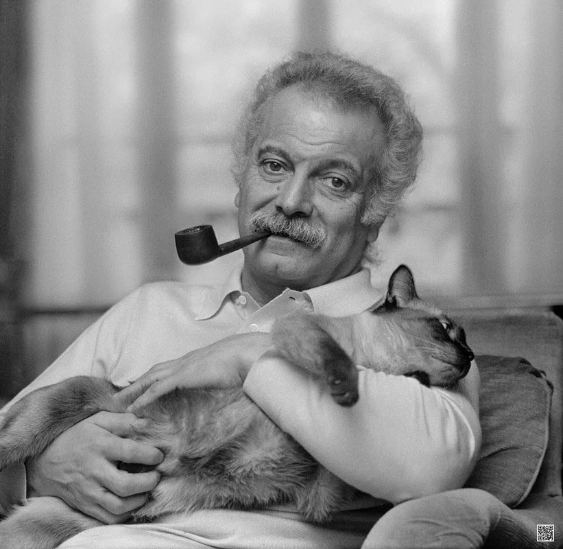 Brassens okjpg.jpg