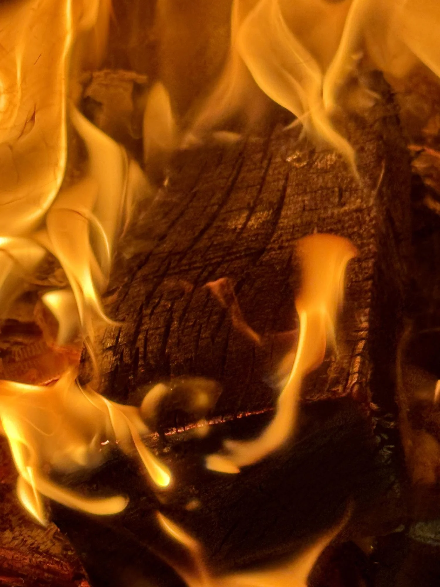 Close-up of a fire with flames and charred logs.
