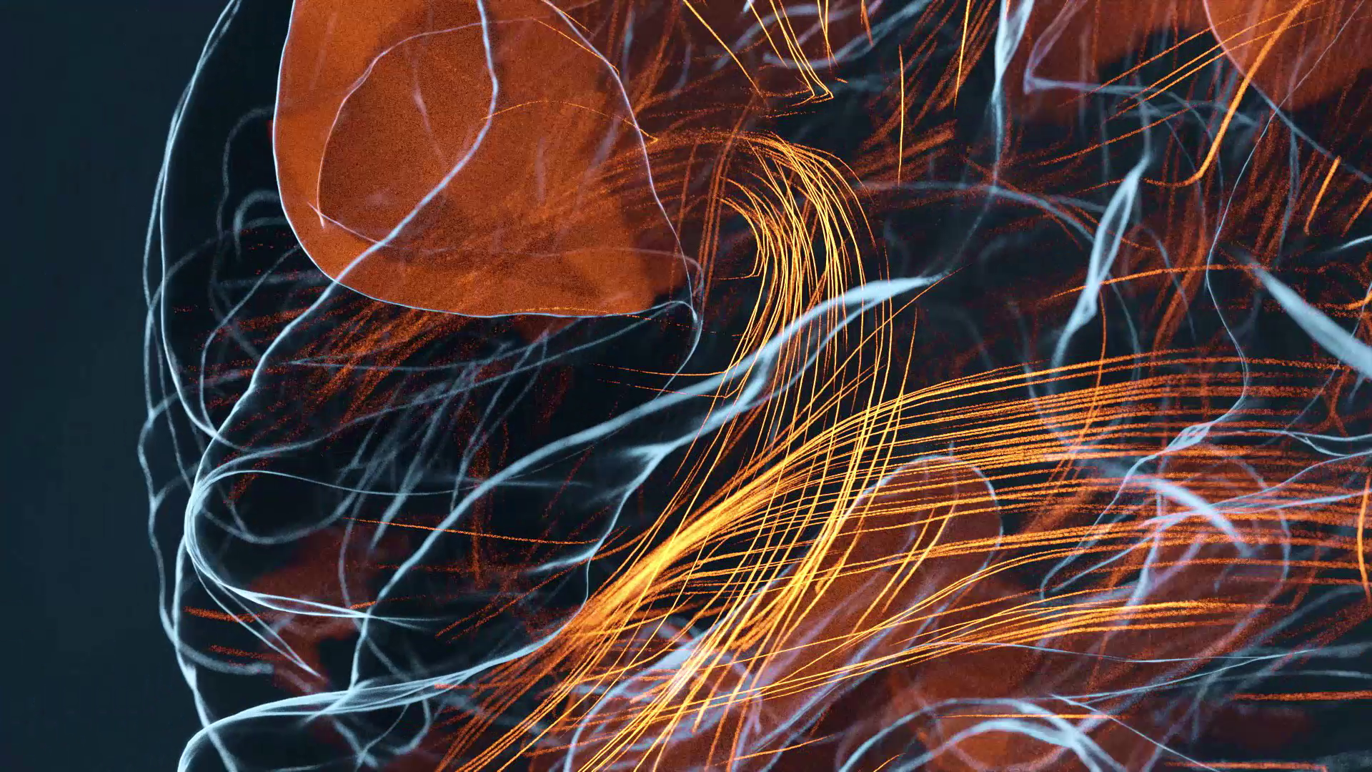 High-fidelity 3D brain tractography visualization for CORTEO, computationally modeled in Python and rendered in Blender using the brand’s clinical color palette to represent neural connectivity.