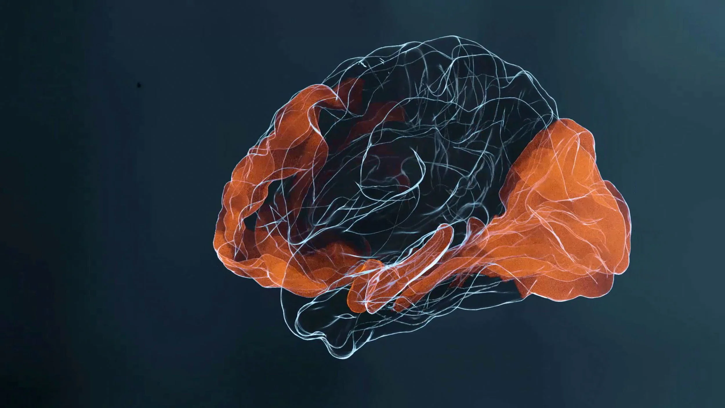 High-fidelity 3D brain tractography visualization for CORTEO, computationally modeled in Python and rendered in Blender using the brand’s clinical color palette to represent neural connectivity.