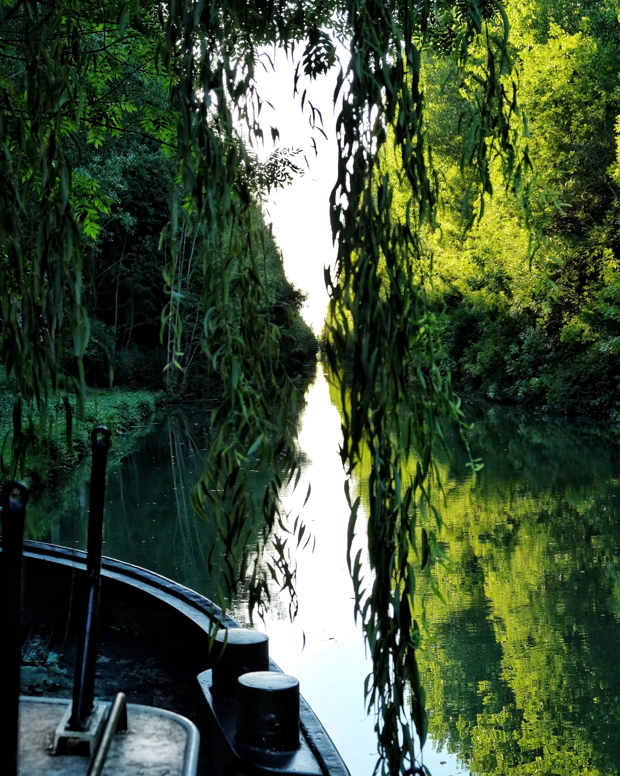 DSCF5876 2.JPG