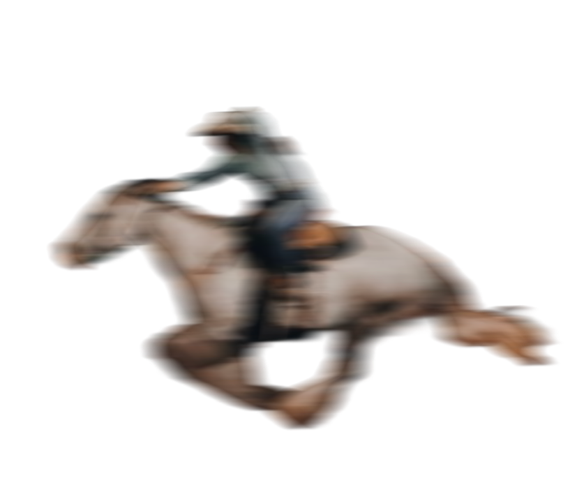 Monteral Rodeo Rodeo Montreal | Réservez votre expérience authentique