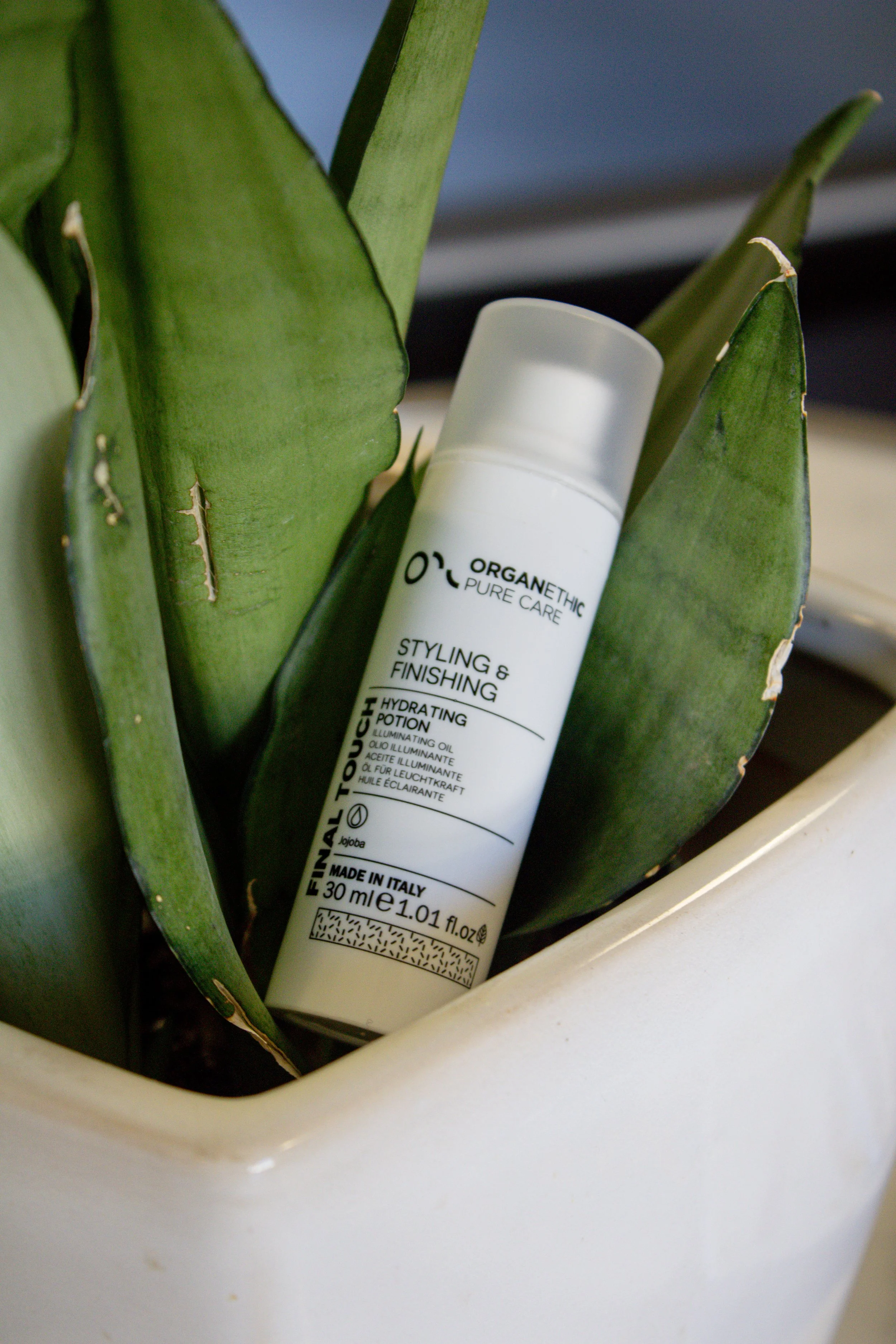 A white plant pot with a green succulent plant inside, and a white bottle of Organetuc Pure Care Hydrating Potion resting against the plant.