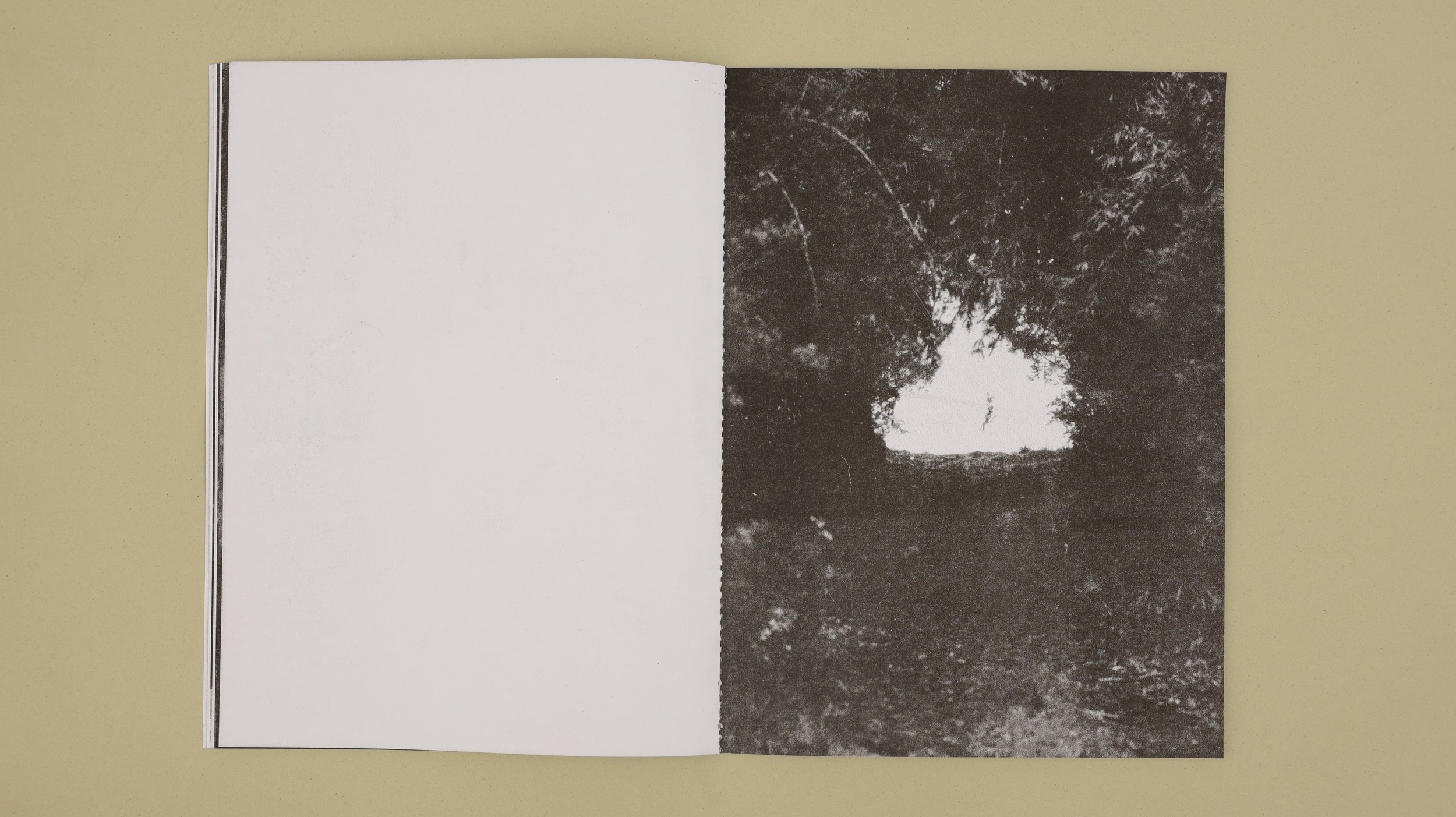 0000libro 2-interior-38.JPG