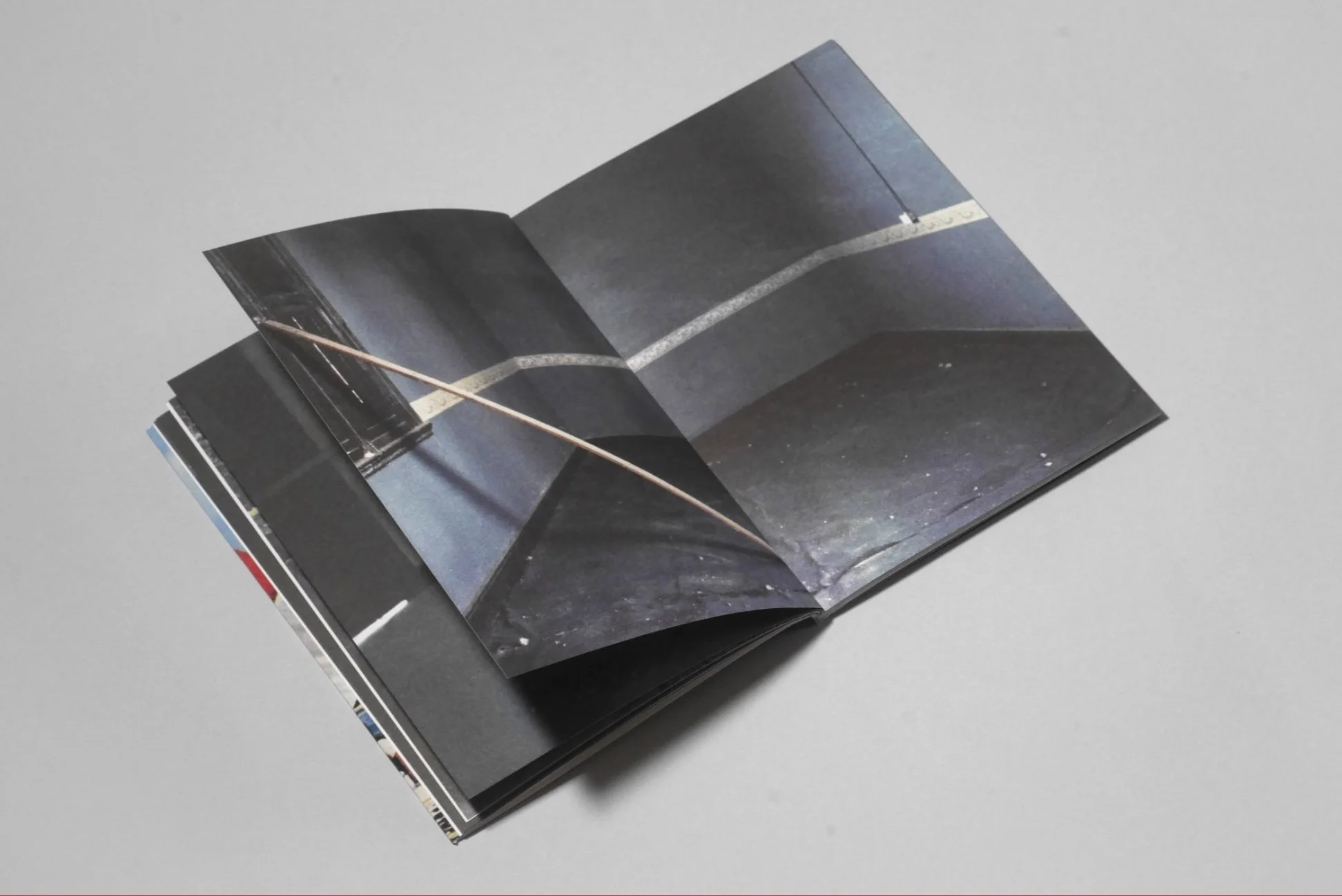 El Pejesapo 2007 José Luis Sepulveda 3.jpg