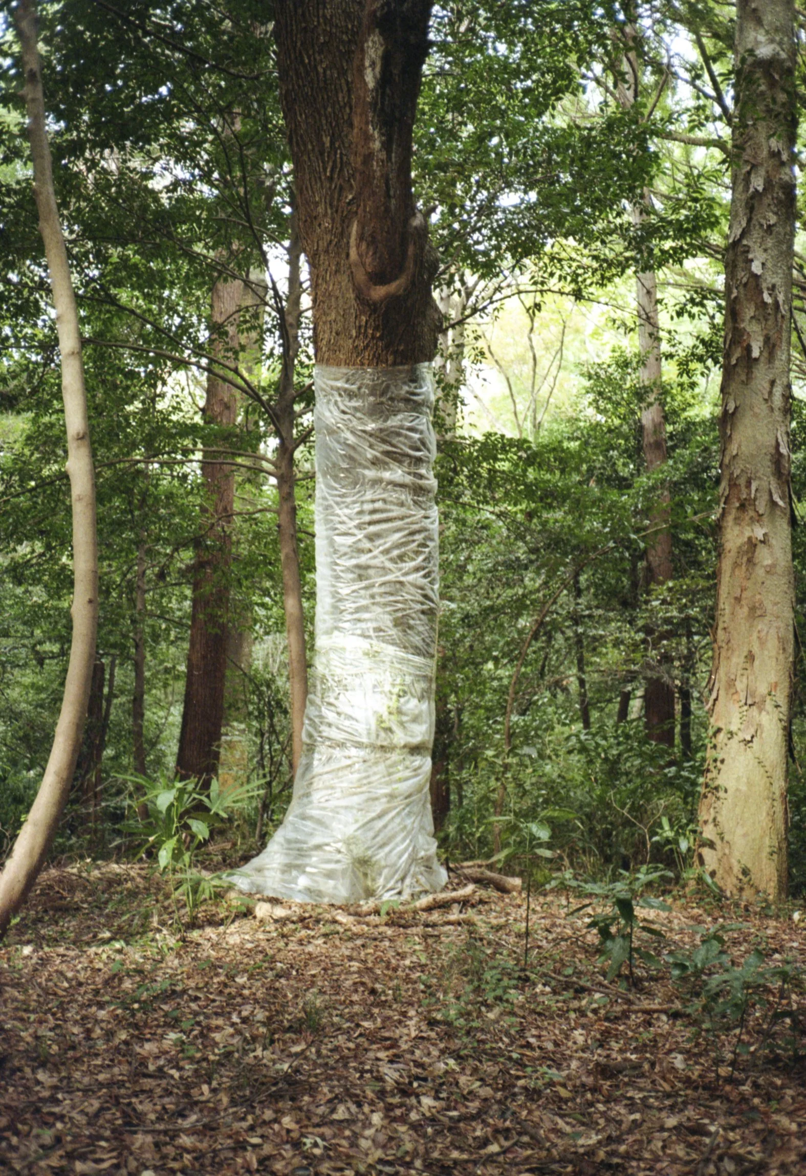 ¿Sigue la calma al otro lado?