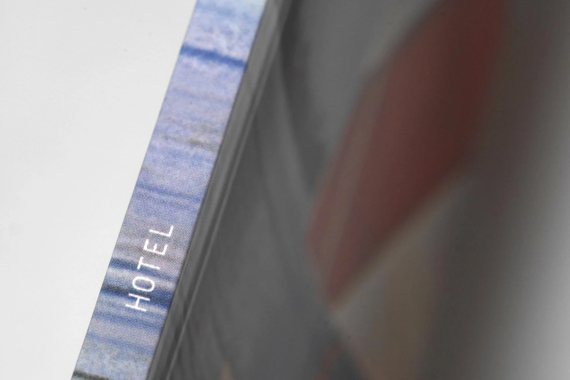 El Pejesapo 2007 José Luis Sepulveda 2.jpg