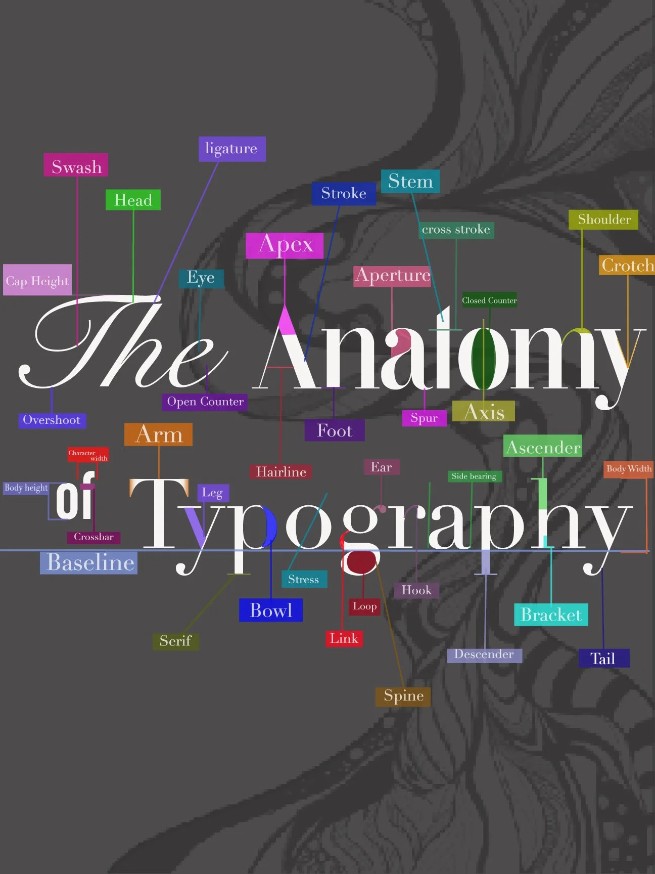 Type-Anatomy.jpg