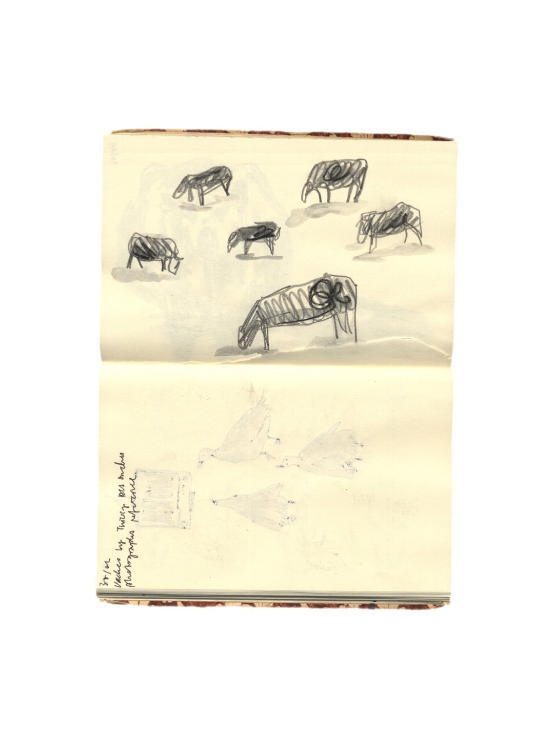 Bazaart_993F80B2-4D5D-4464-A13E-7021761DCE24 2.JPEG