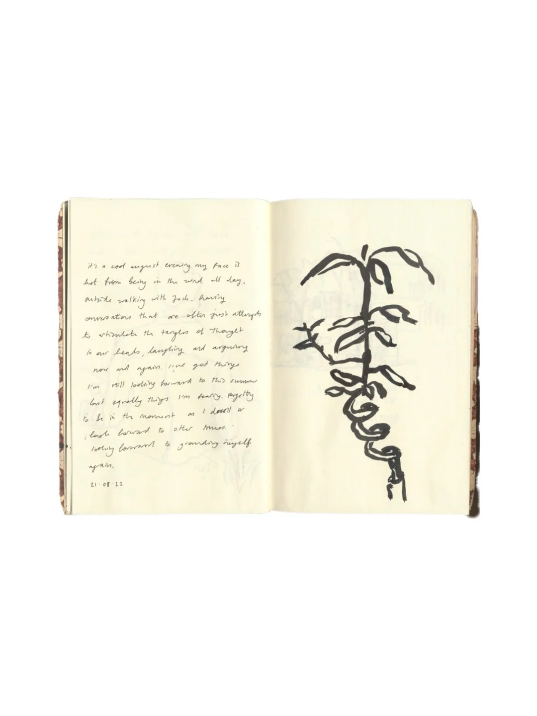 Bazaart_61F8A1B0-898F-456B-A448-AAC9713F87D8 2.JPEG