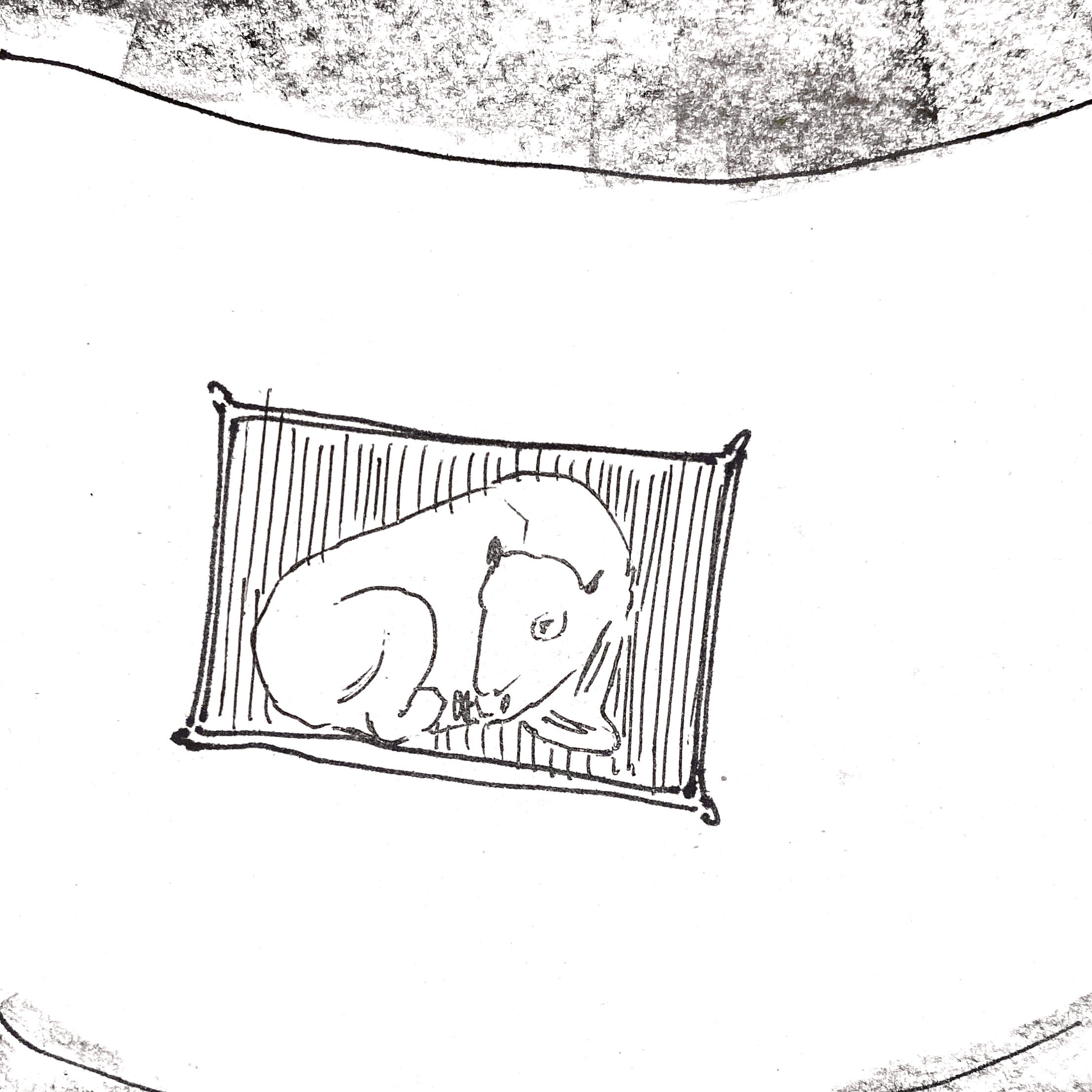 Scannable Document 31 on 8 Dec 2025 at 23_21_53.png