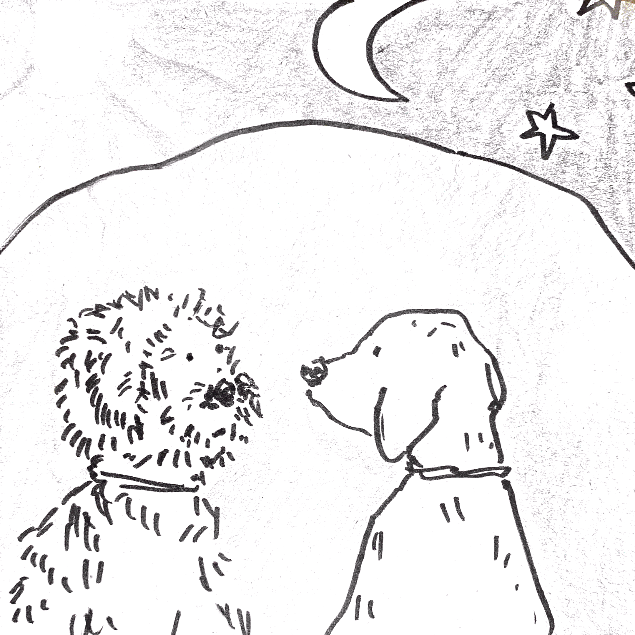 Scannable Document 79 on 26 Nov 2025 at 17_20_36.png